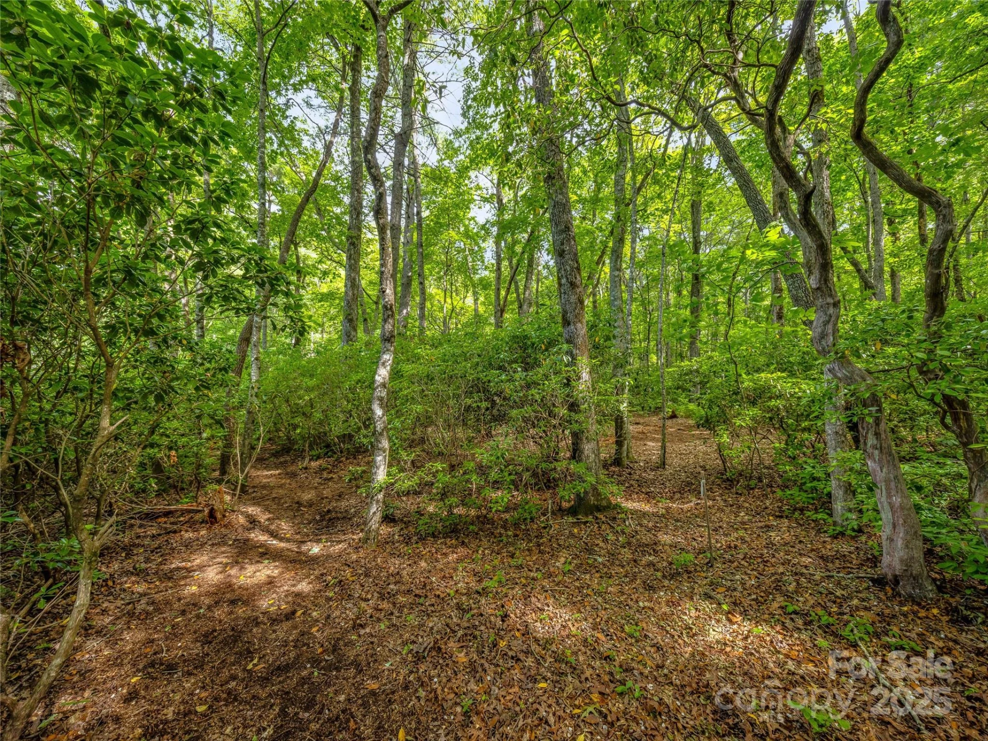J 34 Cherokee Point #34 - Photo 5