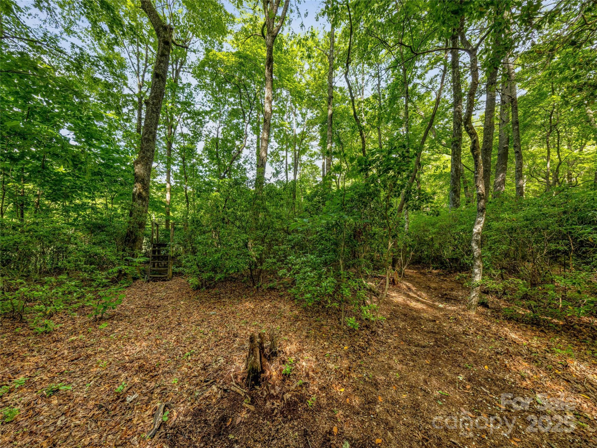 J 34 Cherokee Point #34 - Photo 7