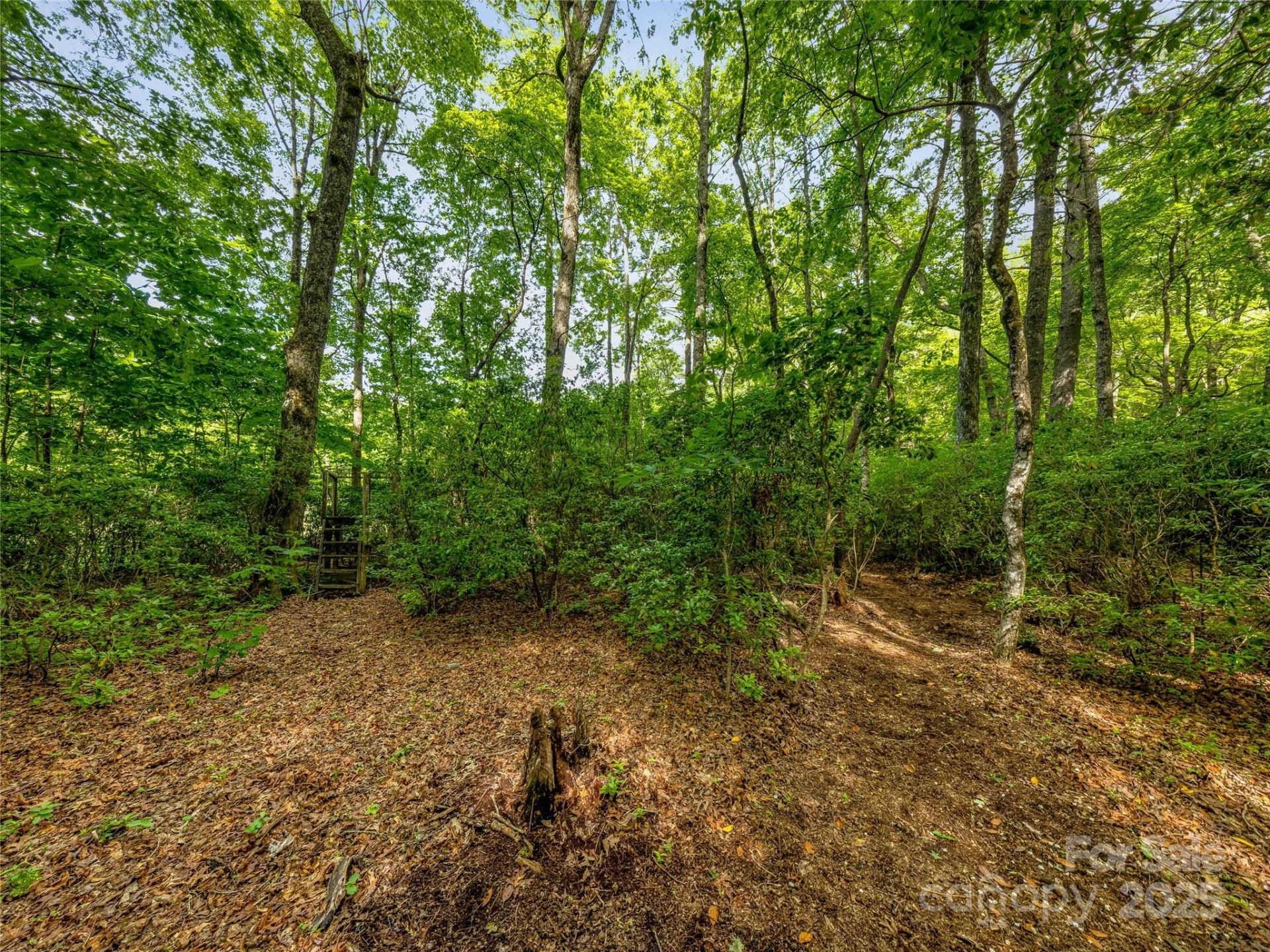 J 34 Cherokee Point #34 - Photo 7