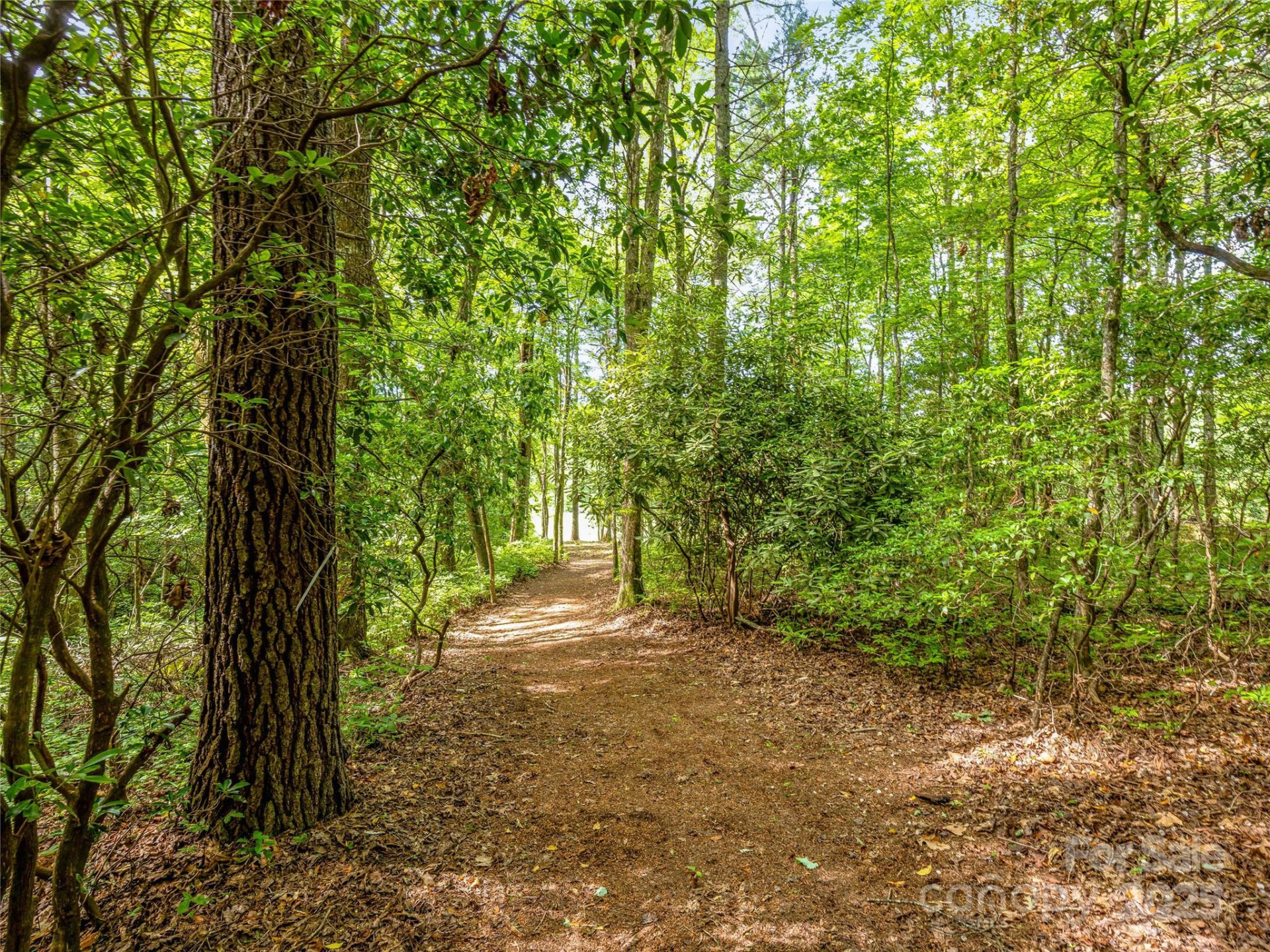 J 35 Cherokee Point #35 - Photo 2