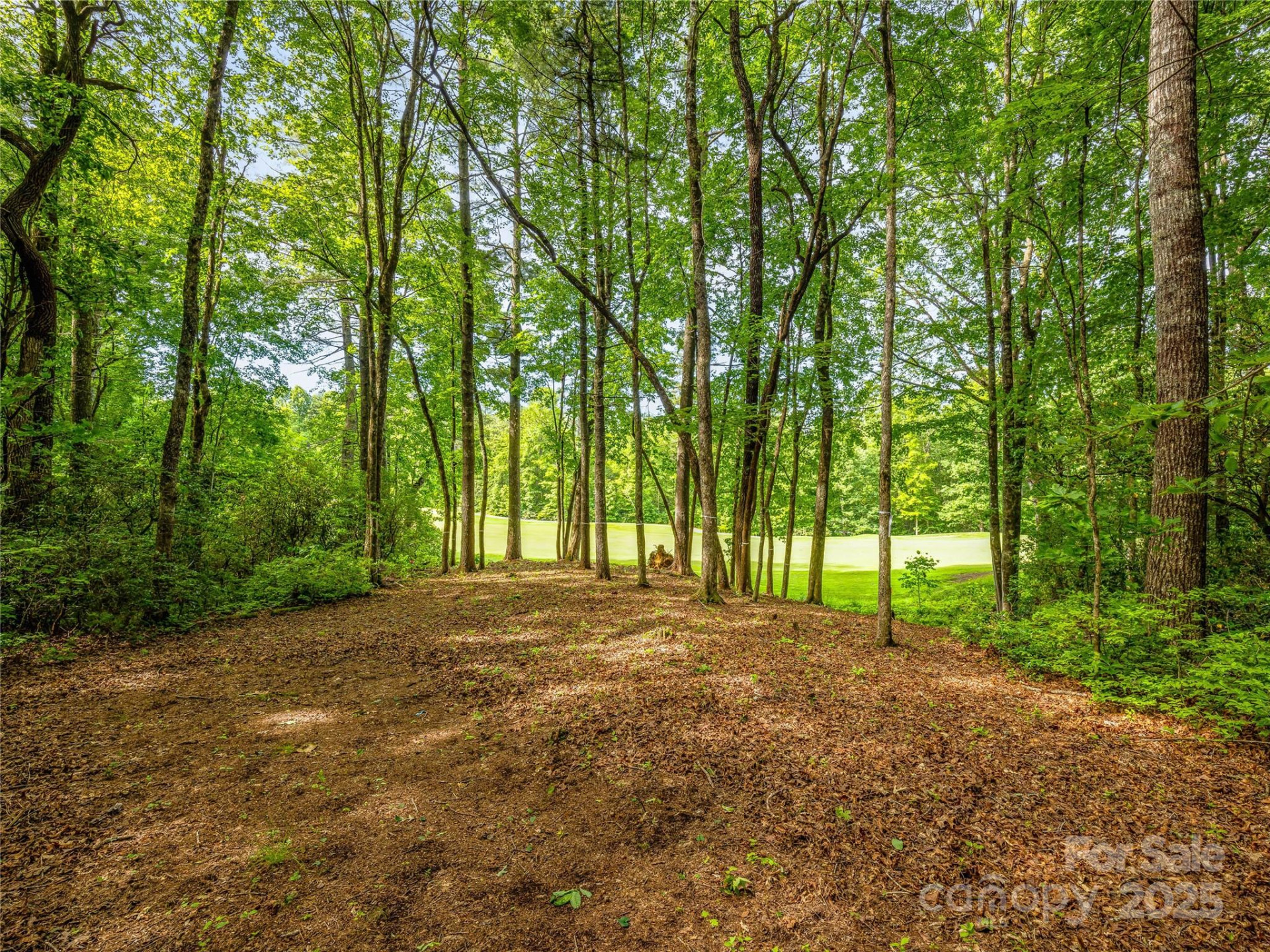 J 35 Cherokee Point #35 - Photo 6