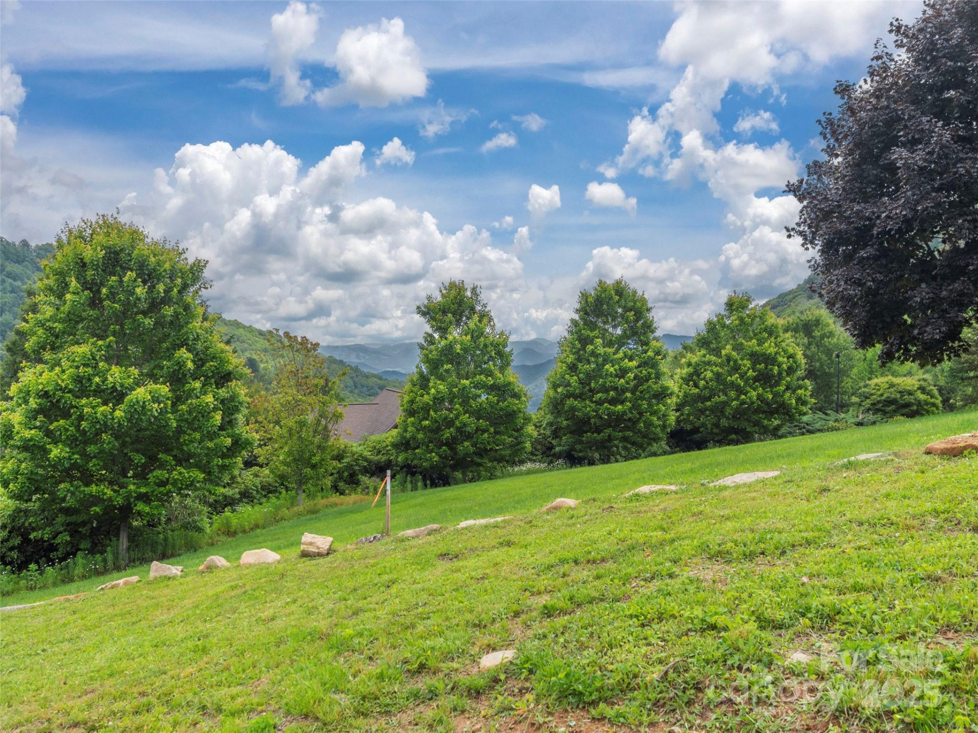 0 Camden Downs Road #Lot 9 - Photo 14