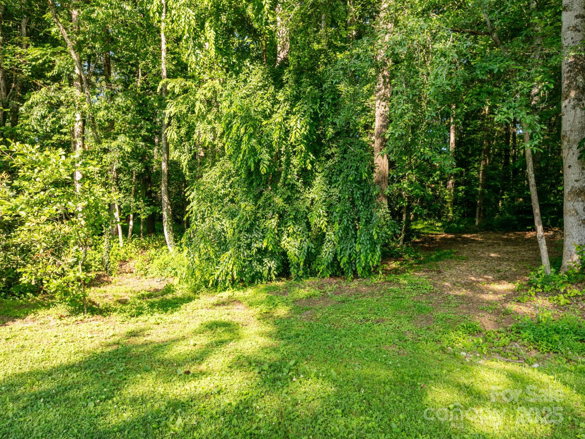 000 Old Town Way - Photo 2