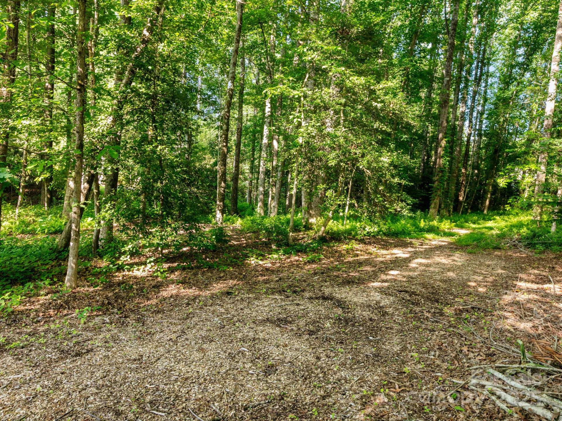 000 Old Town Way - Photo 3