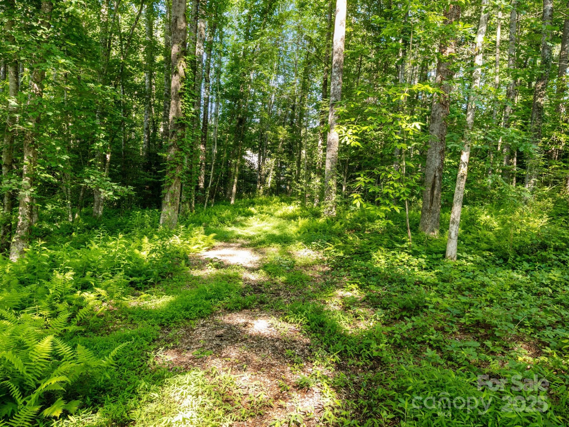 000 Old Town Way - Photo 4