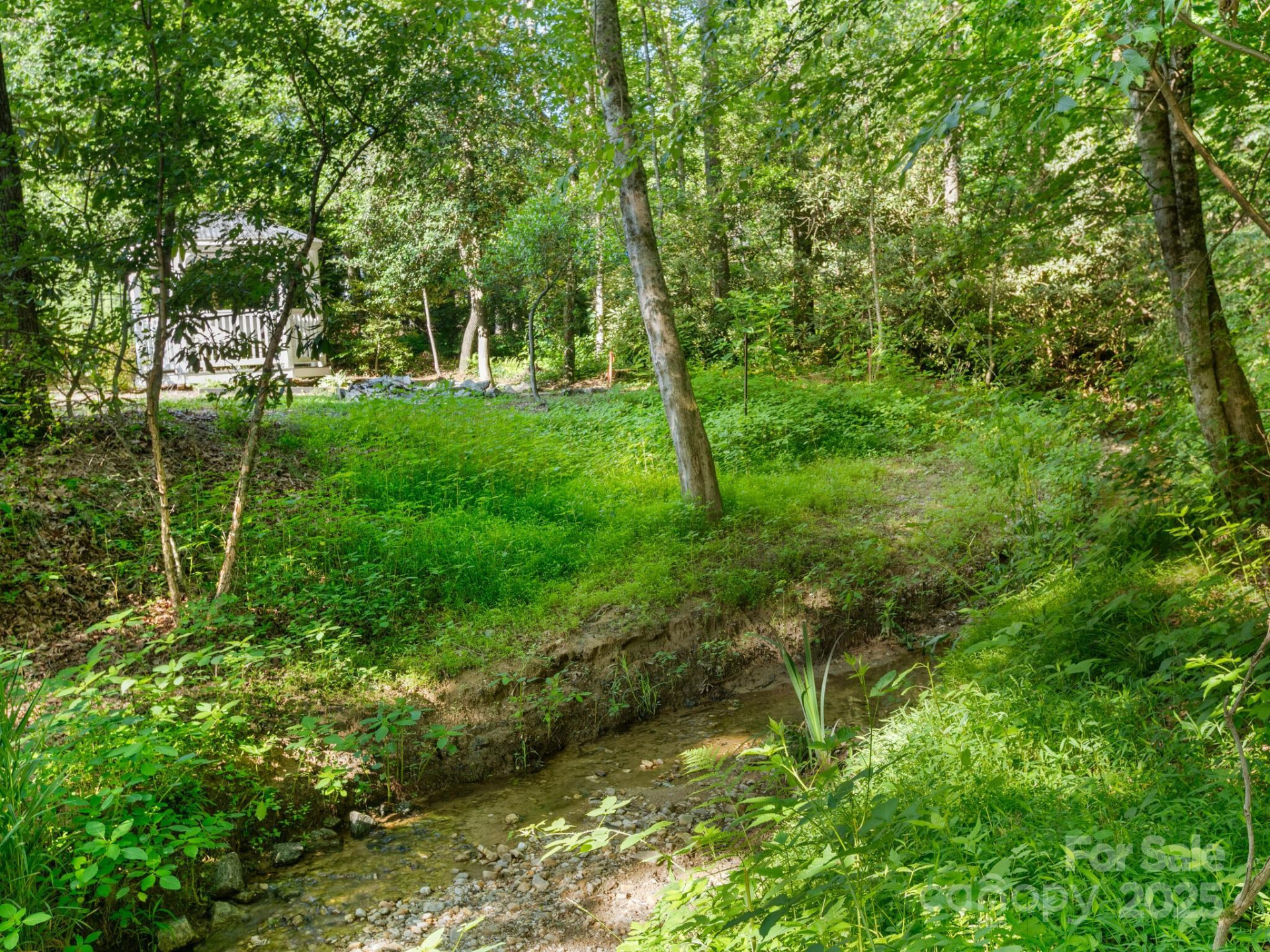 000 Old Town Way - Photo 5