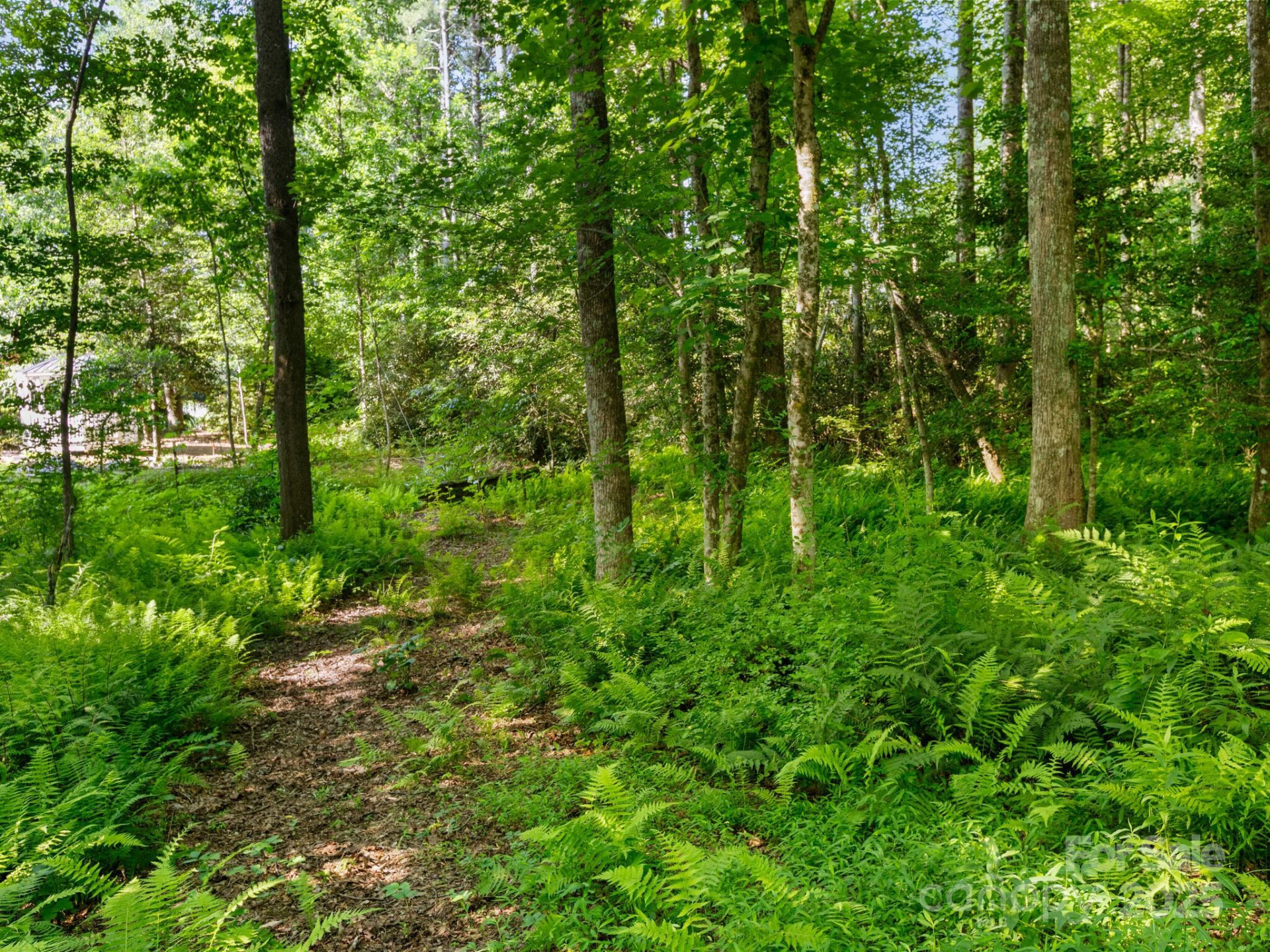 000 Old Town Way - Photo 6