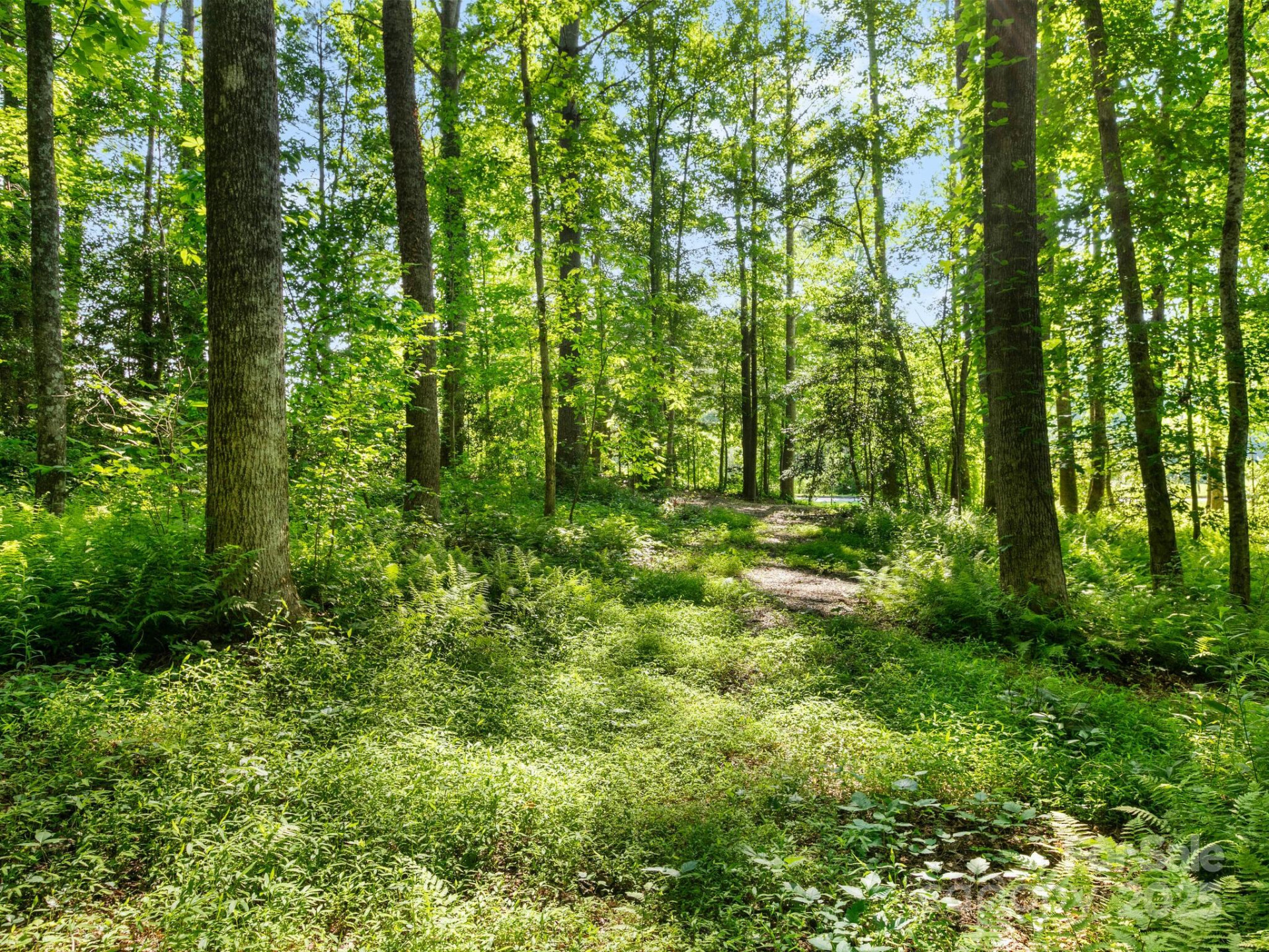 000 Old Town Way - Photo 7