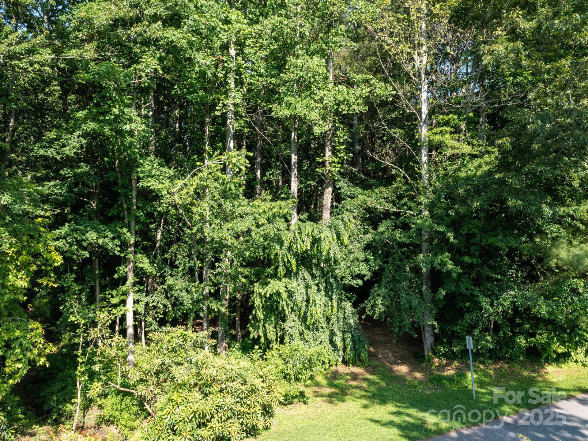 000 Old Town Way - Photo 10