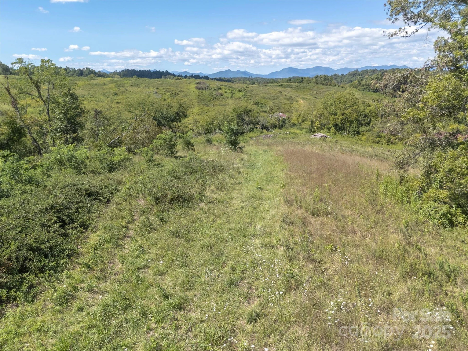 56 Gill Branch Road - Photo 33