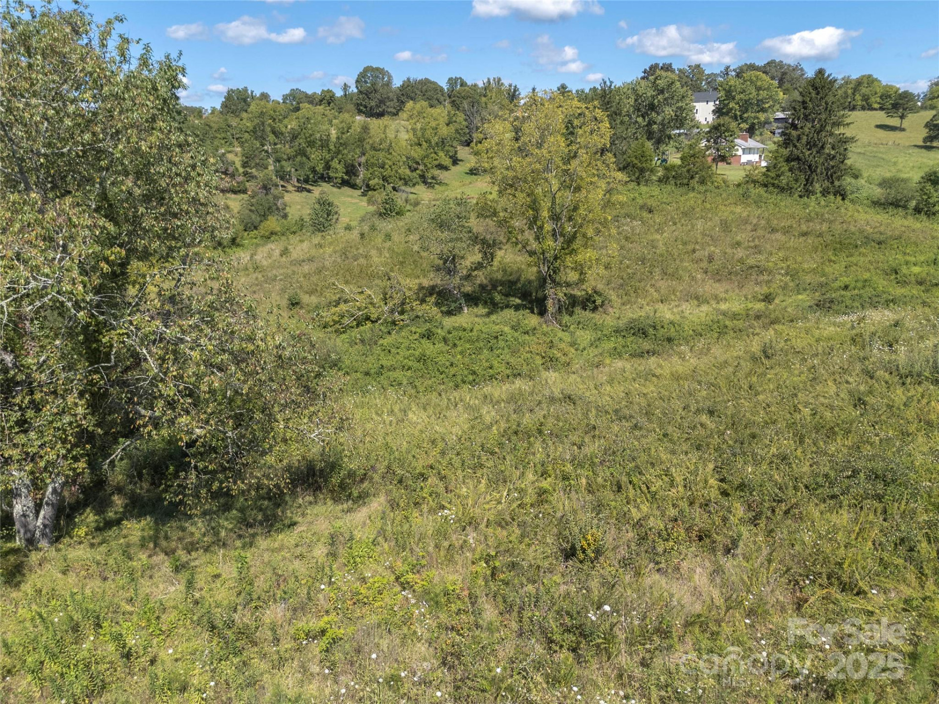 56 Gill Branch Road - Photo 34