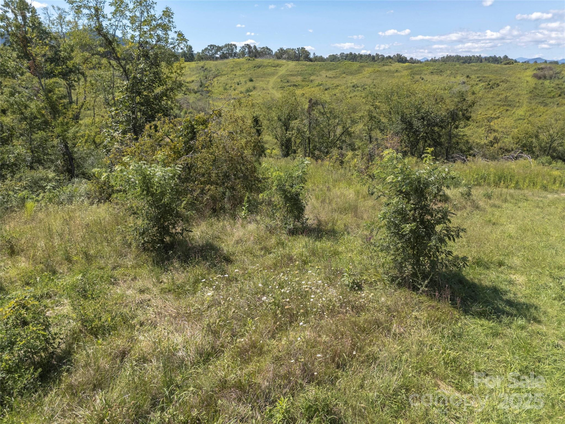 56 Gill Branch Road - Photo 37