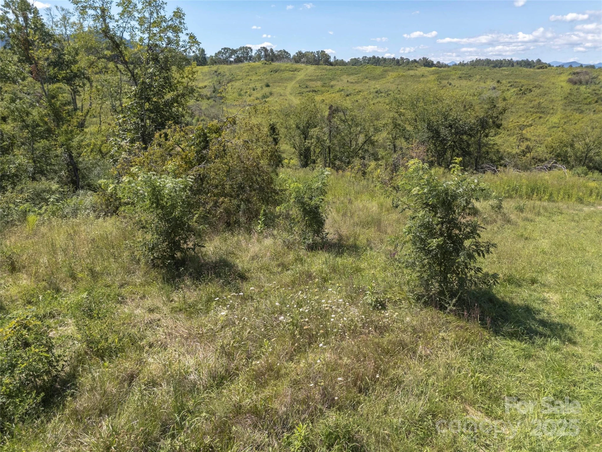 56 Gill Branch Road - Photo 37