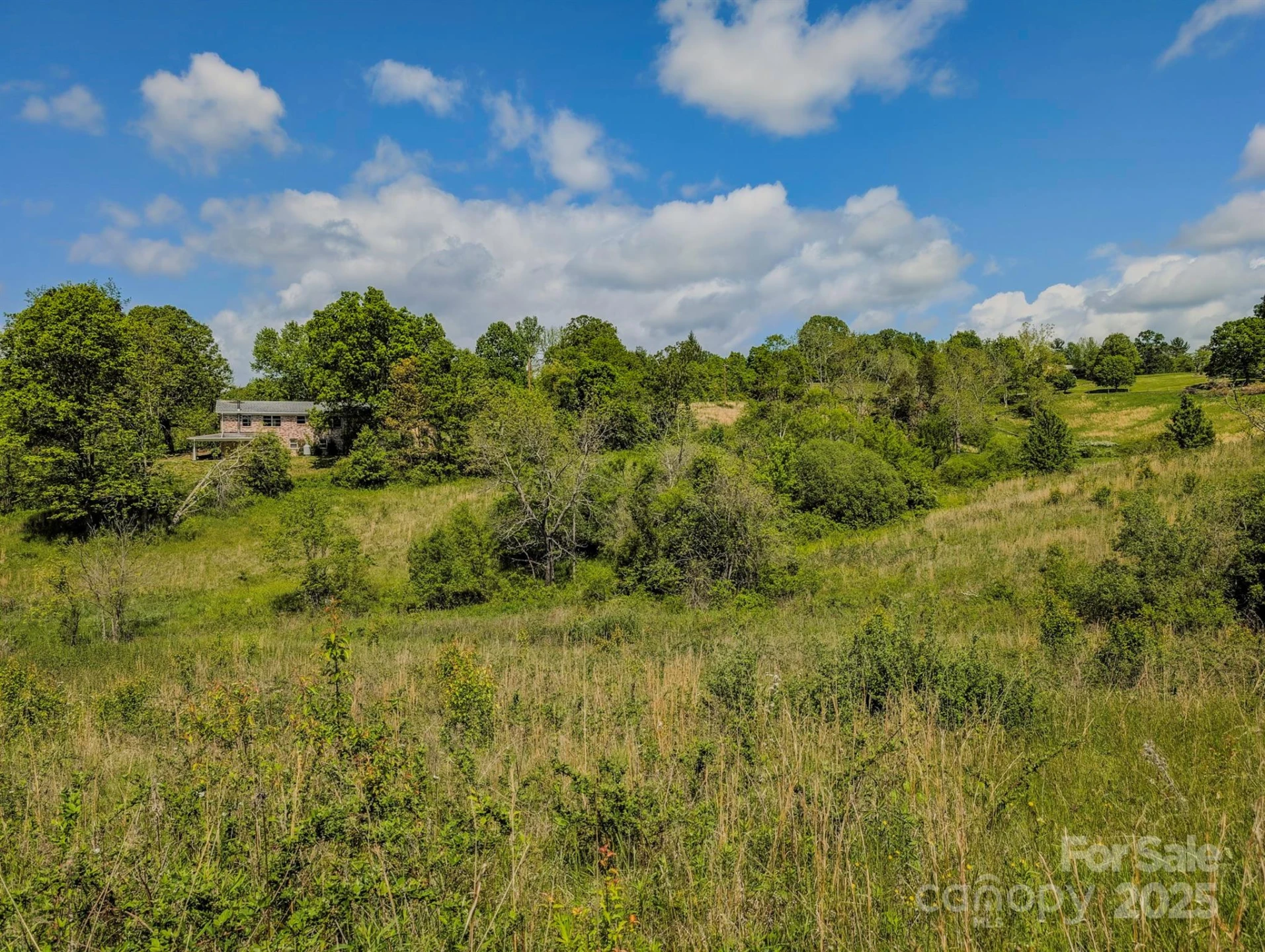 56 Gill Branch Road - Photo 10