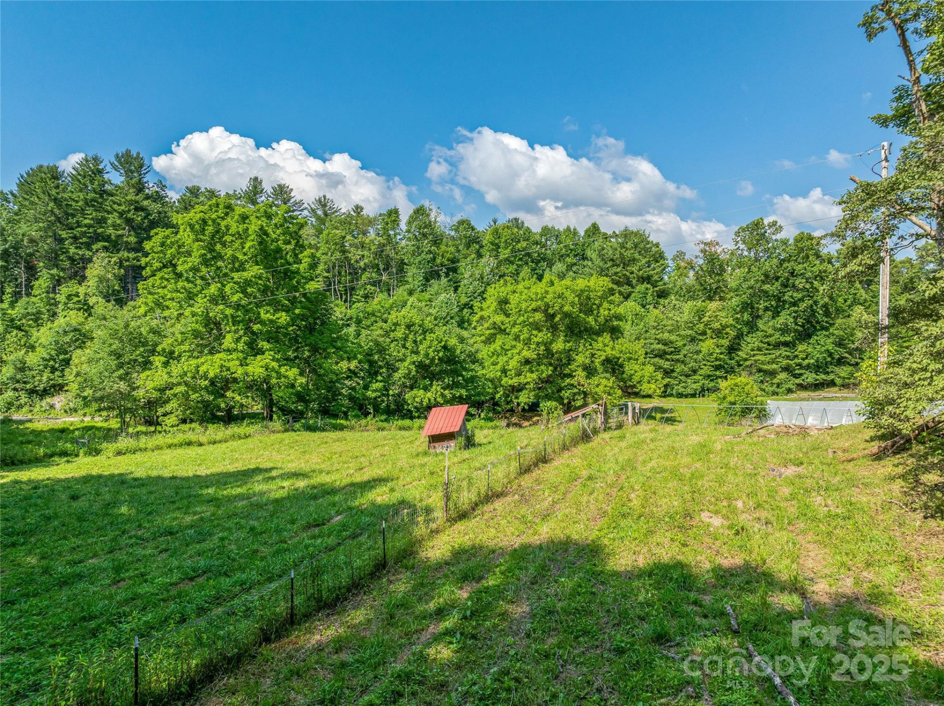 3151 Lumptown Road - Photo 12