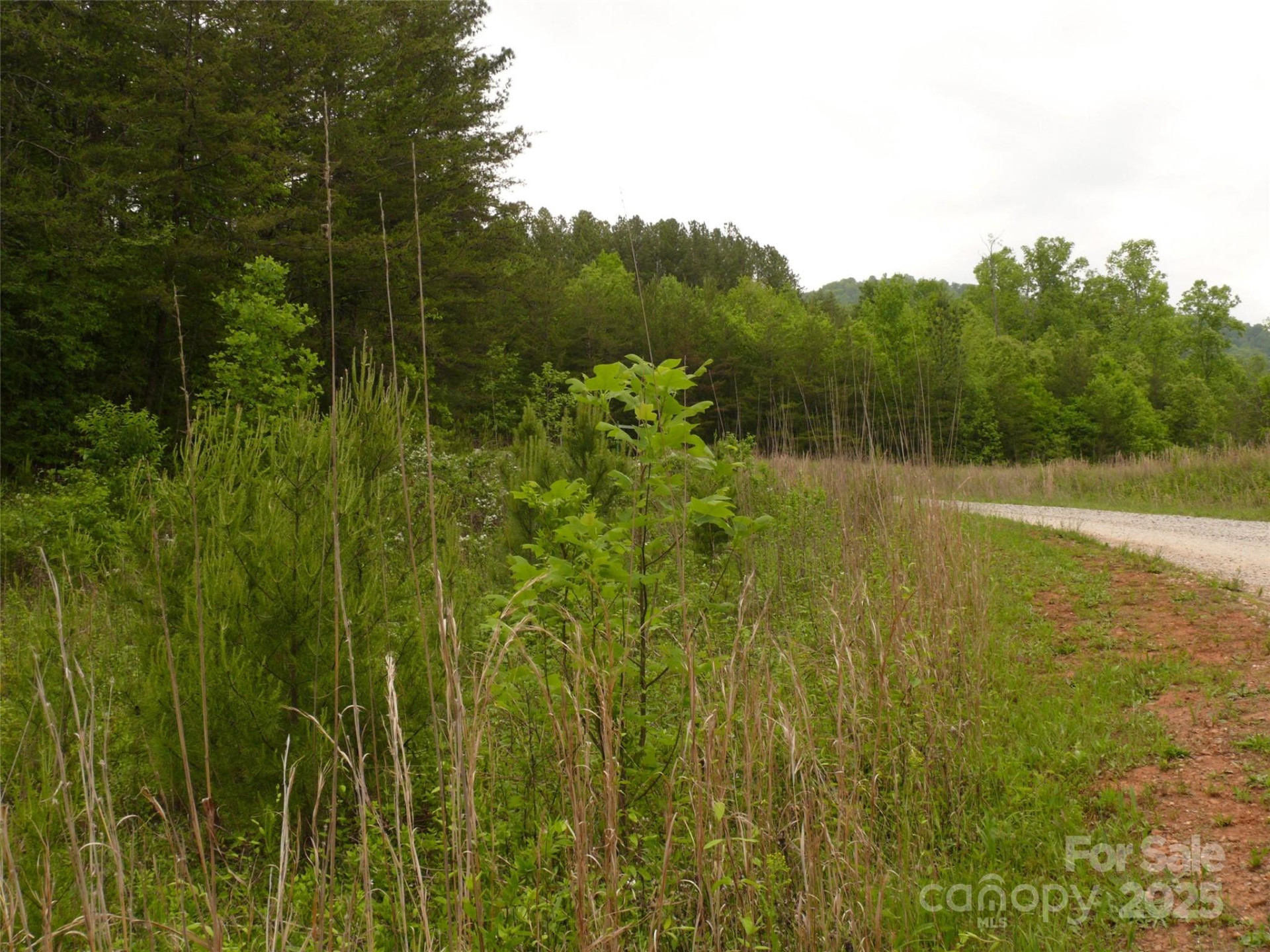 Lot 14 Vineyards Way - Photo 2