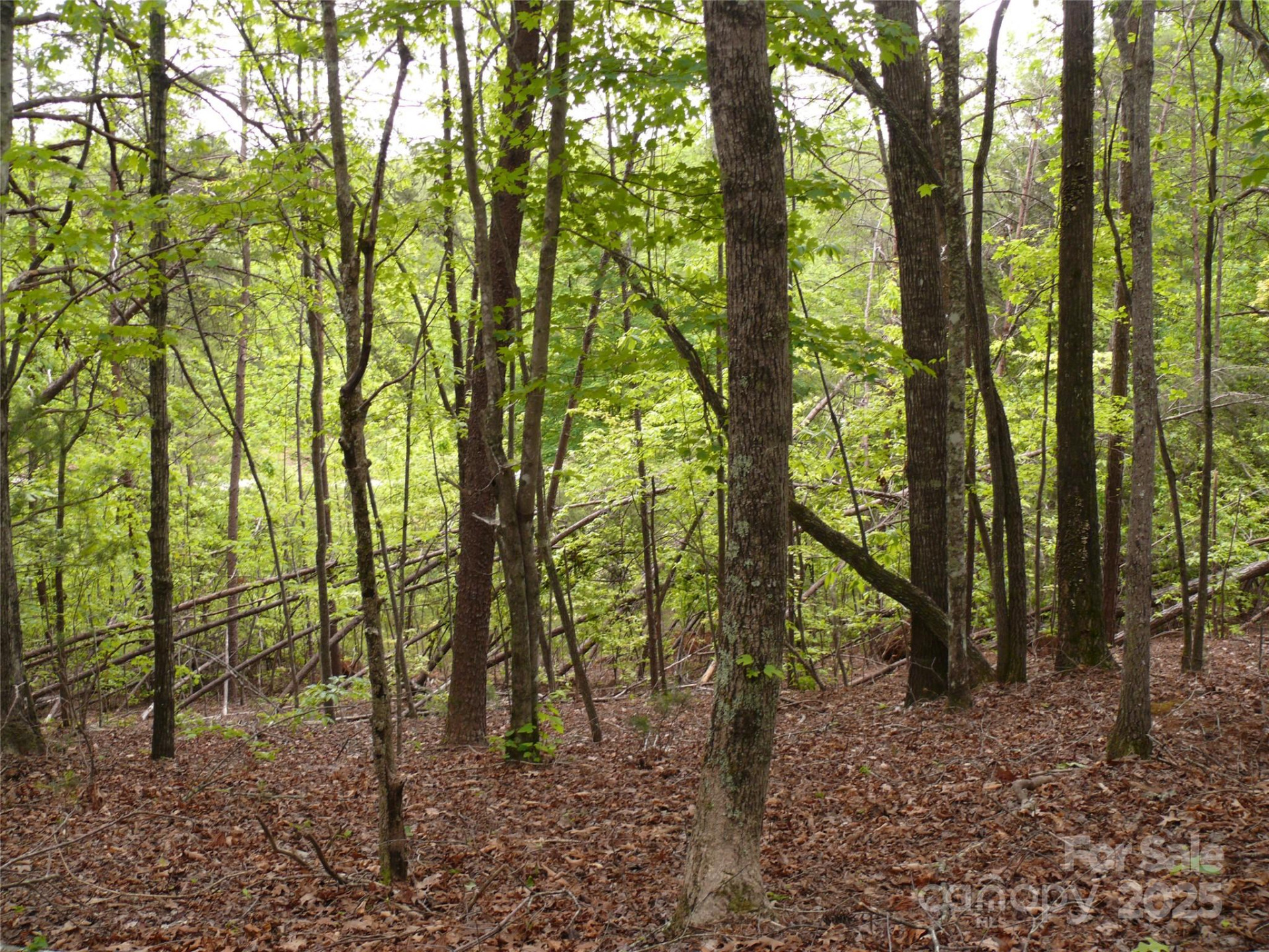 Lot 14 Vineyards Way - Photo 11