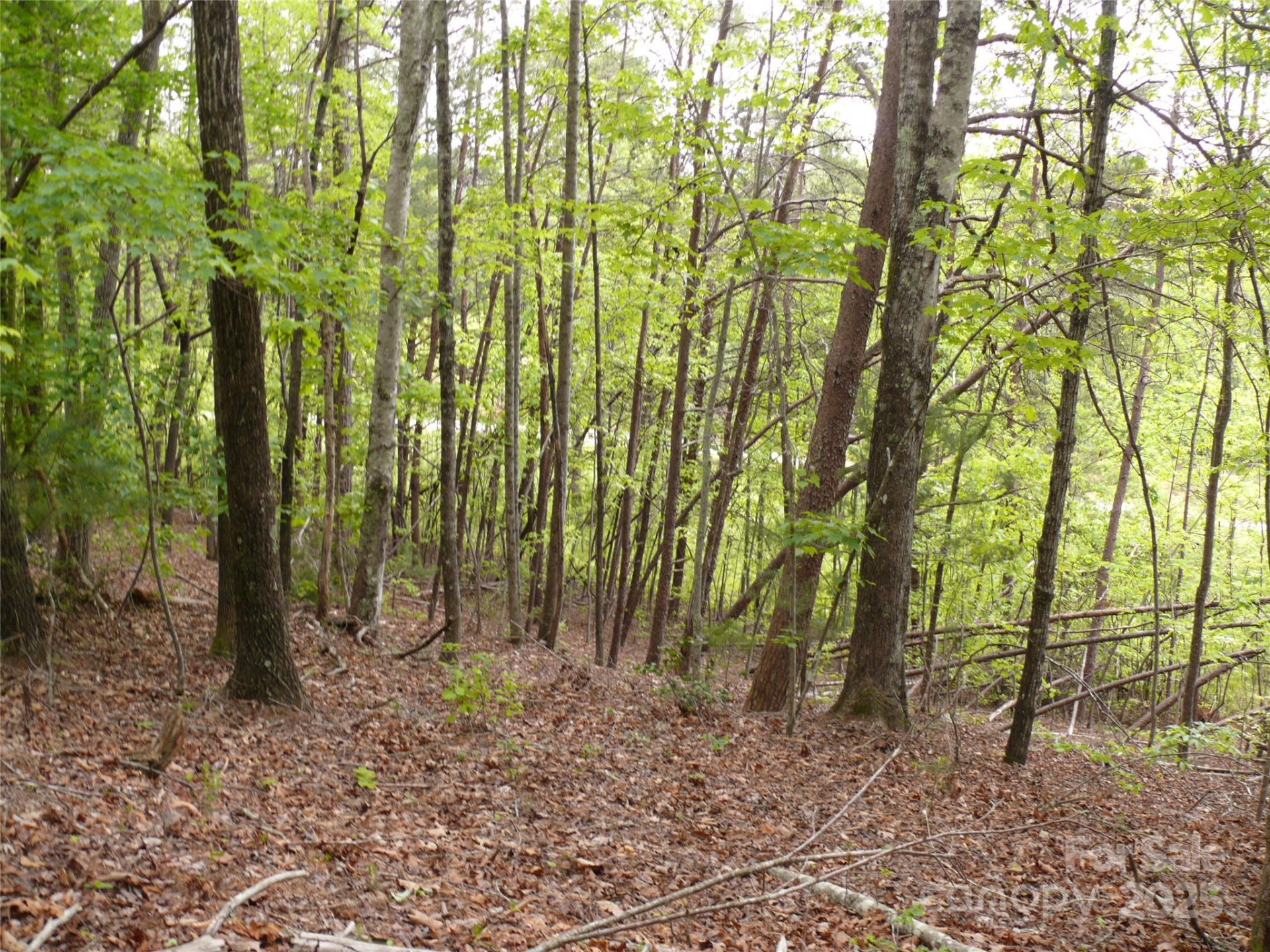 Lot 14 Vineyards Way - Photo 12