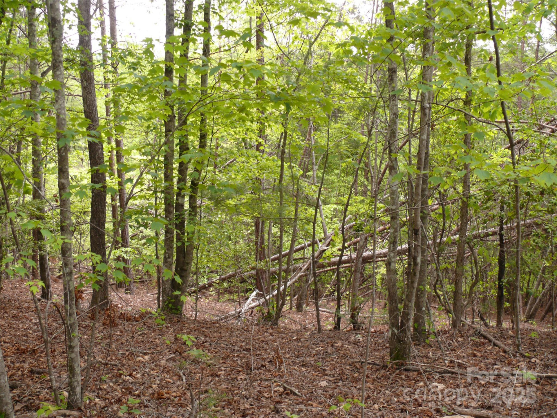 Lot 14 Vineyards Way - Photo 13