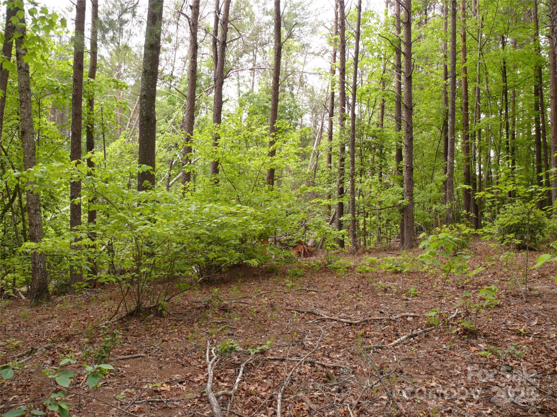 Lot 14 Vineyards Way - Photo 14