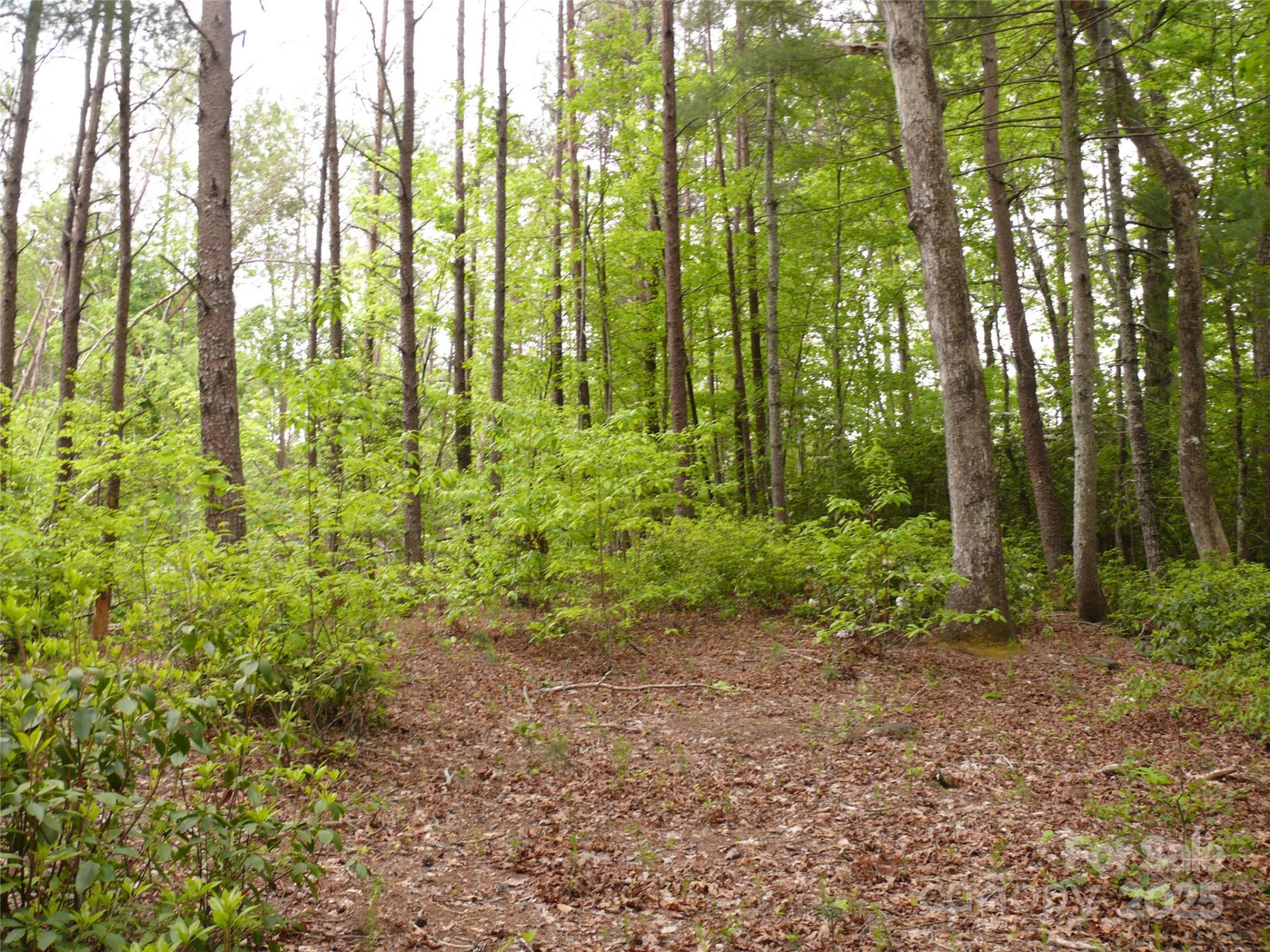 Lot 14 Vineyards Way - Photo 15