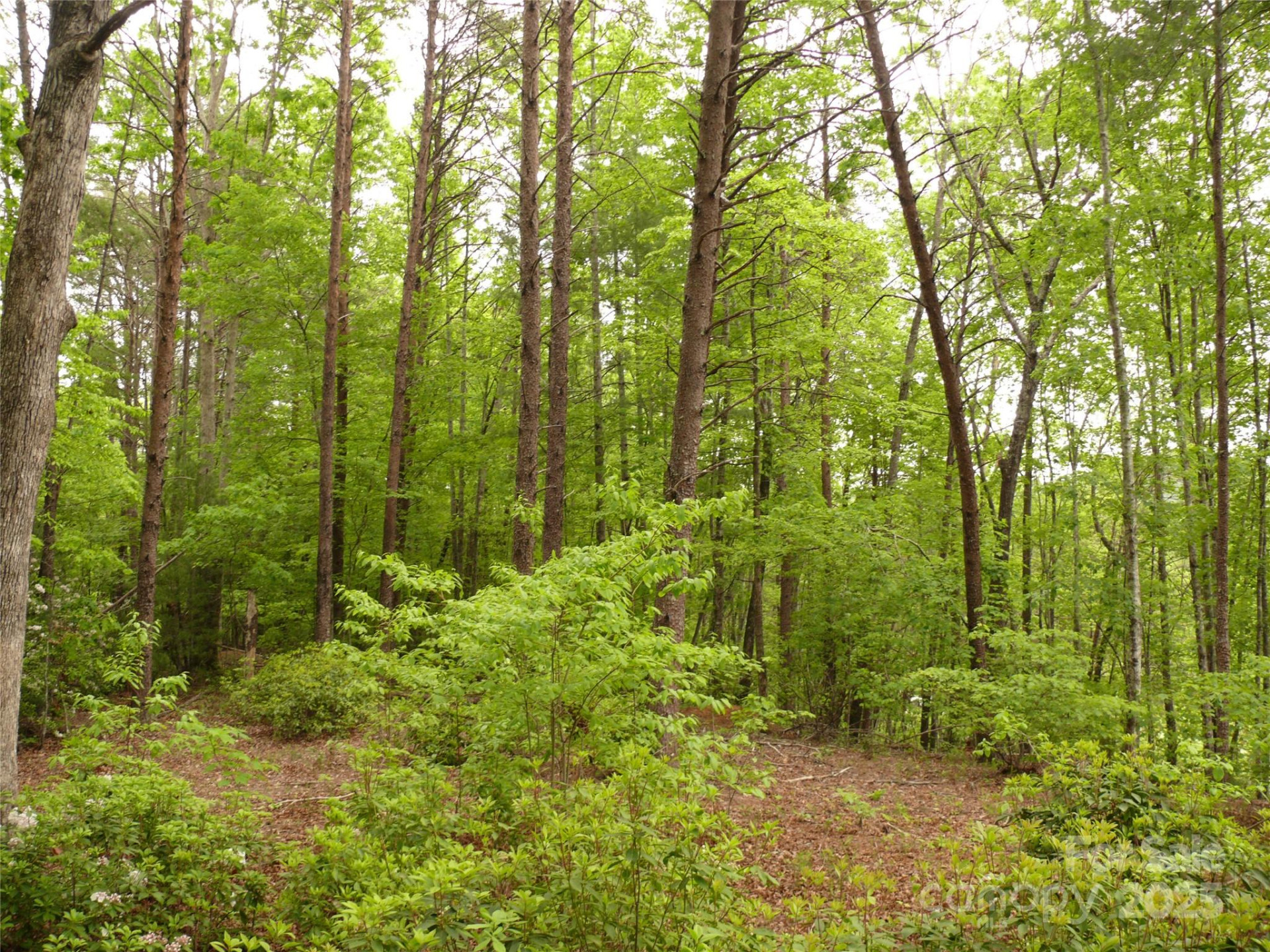 Lot 14 Vineyards Way - Photo 16