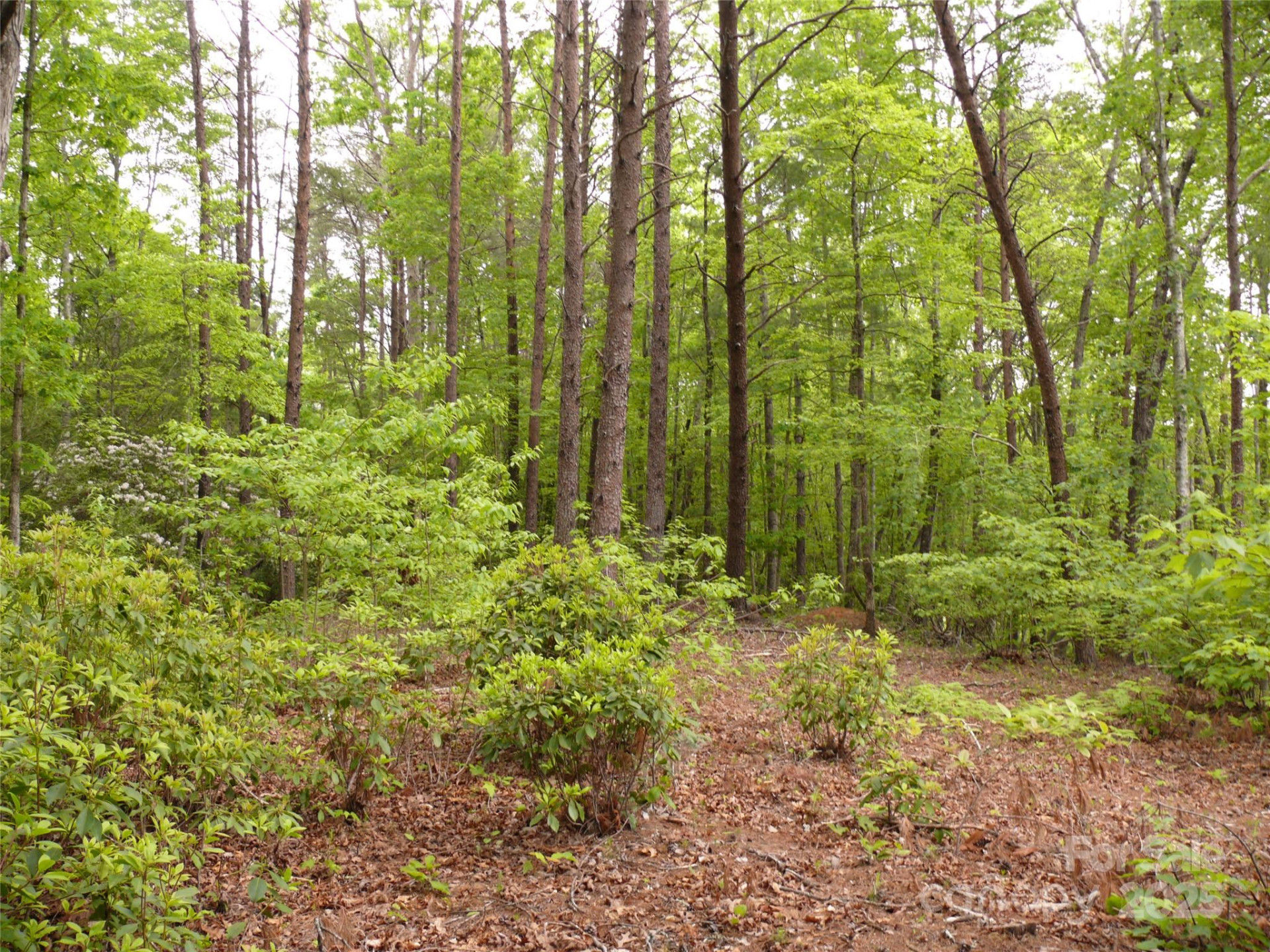 Lot 14 Vineyards Way - Photo 17