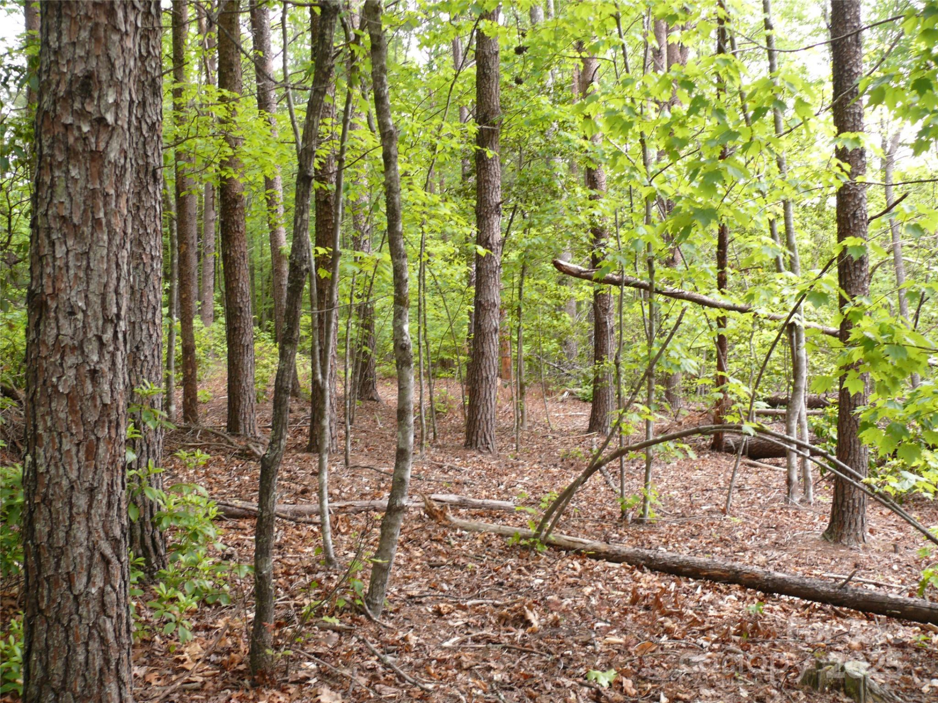 Lot 14 Vineyards Way - Photo 18