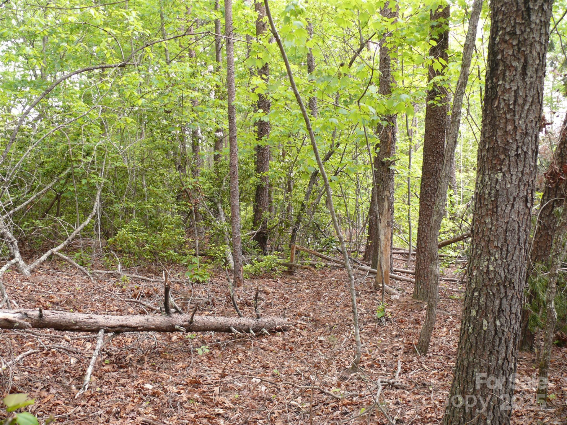 Lot 14 Vineyards Way - Photo 19