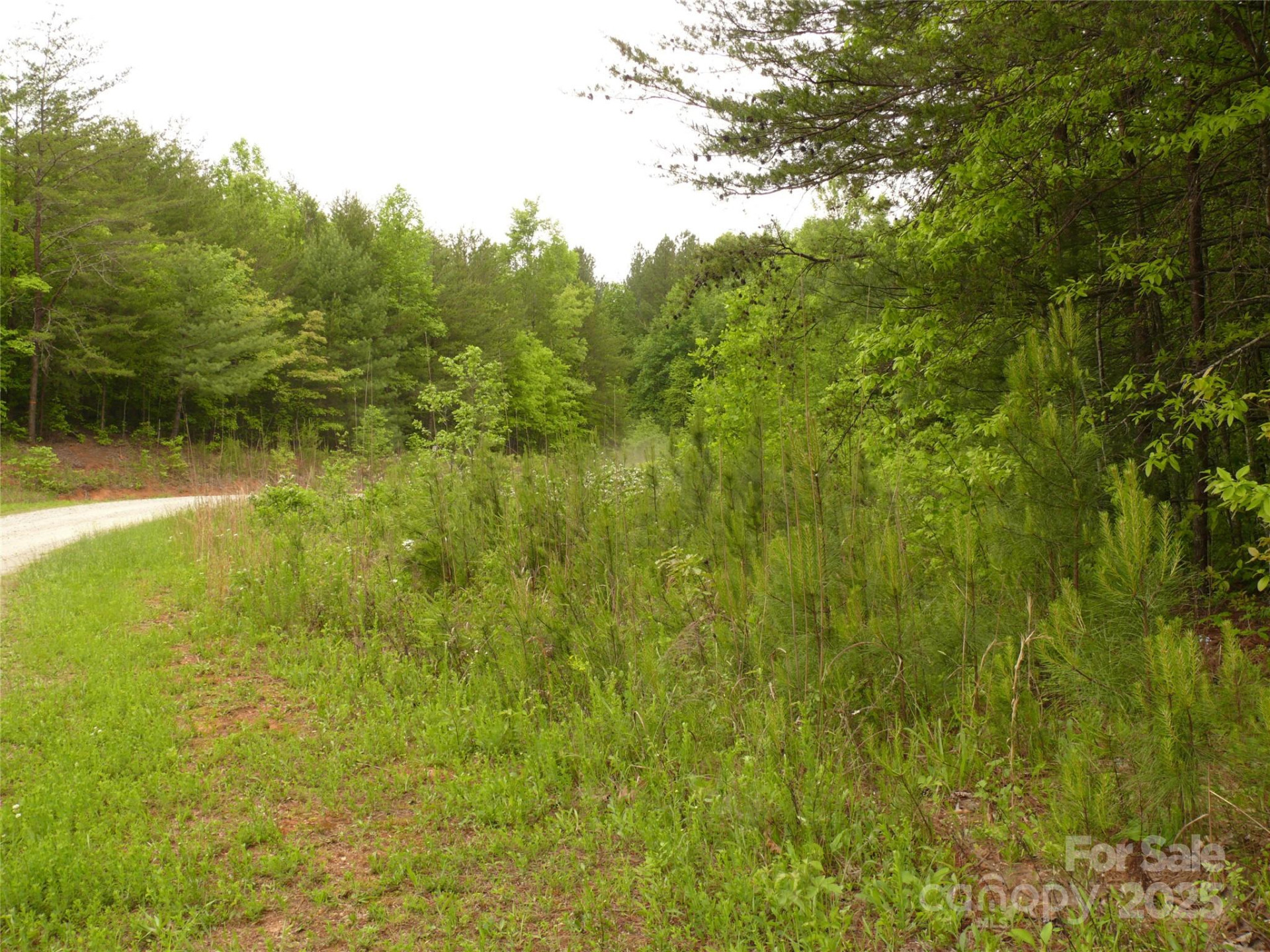 Lot 14 Vineyards Way - Photo 3