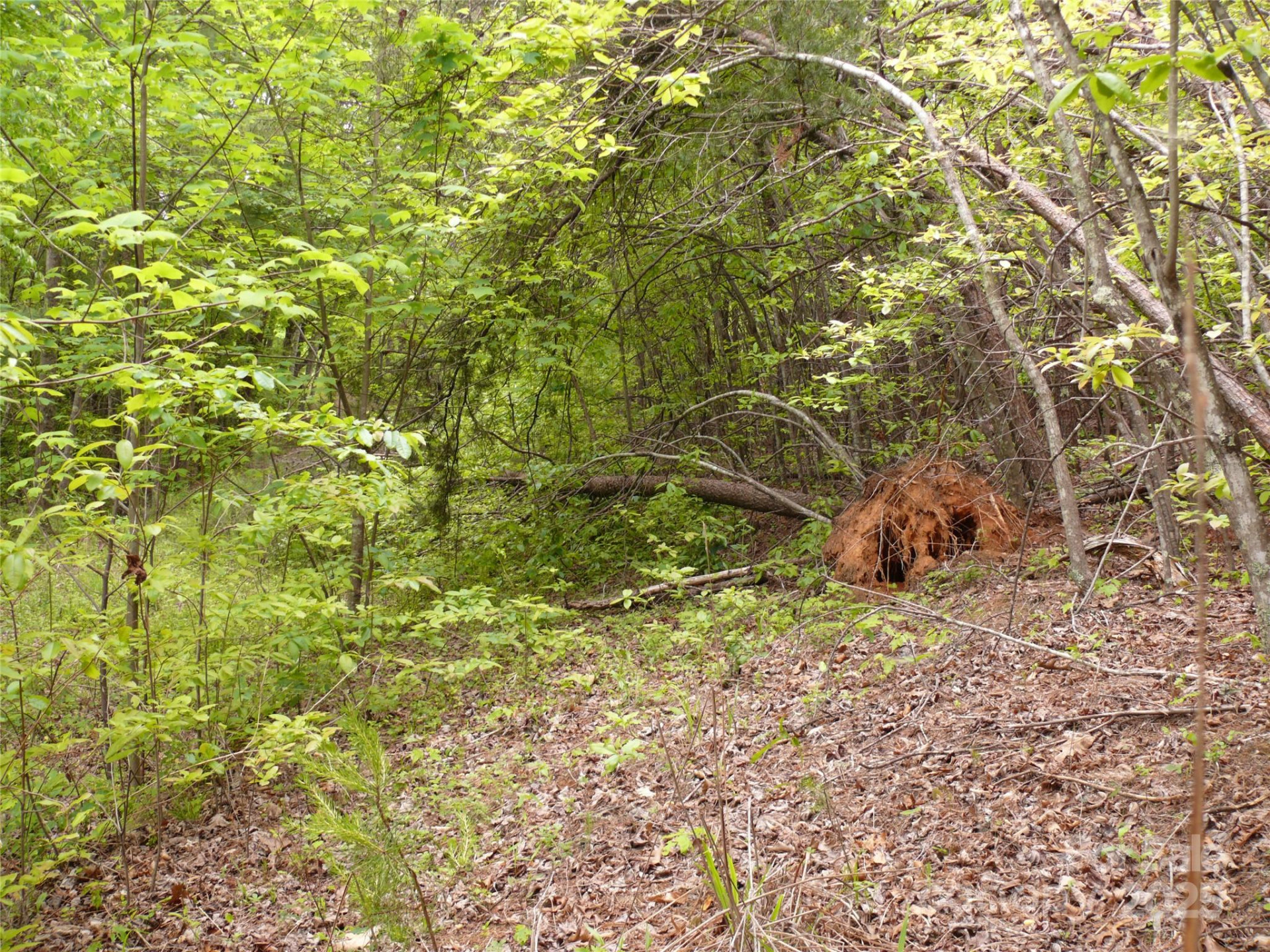 Lot 14 Vineyards Way - Photo 5