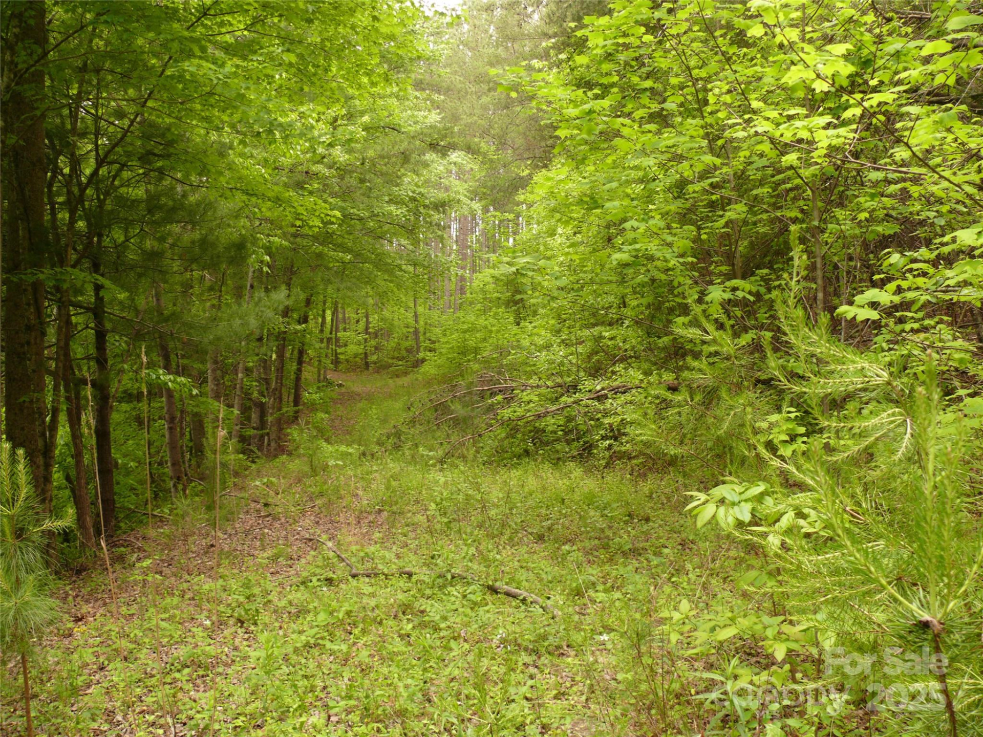 Lot 14 Vineyards Way - Photo 6