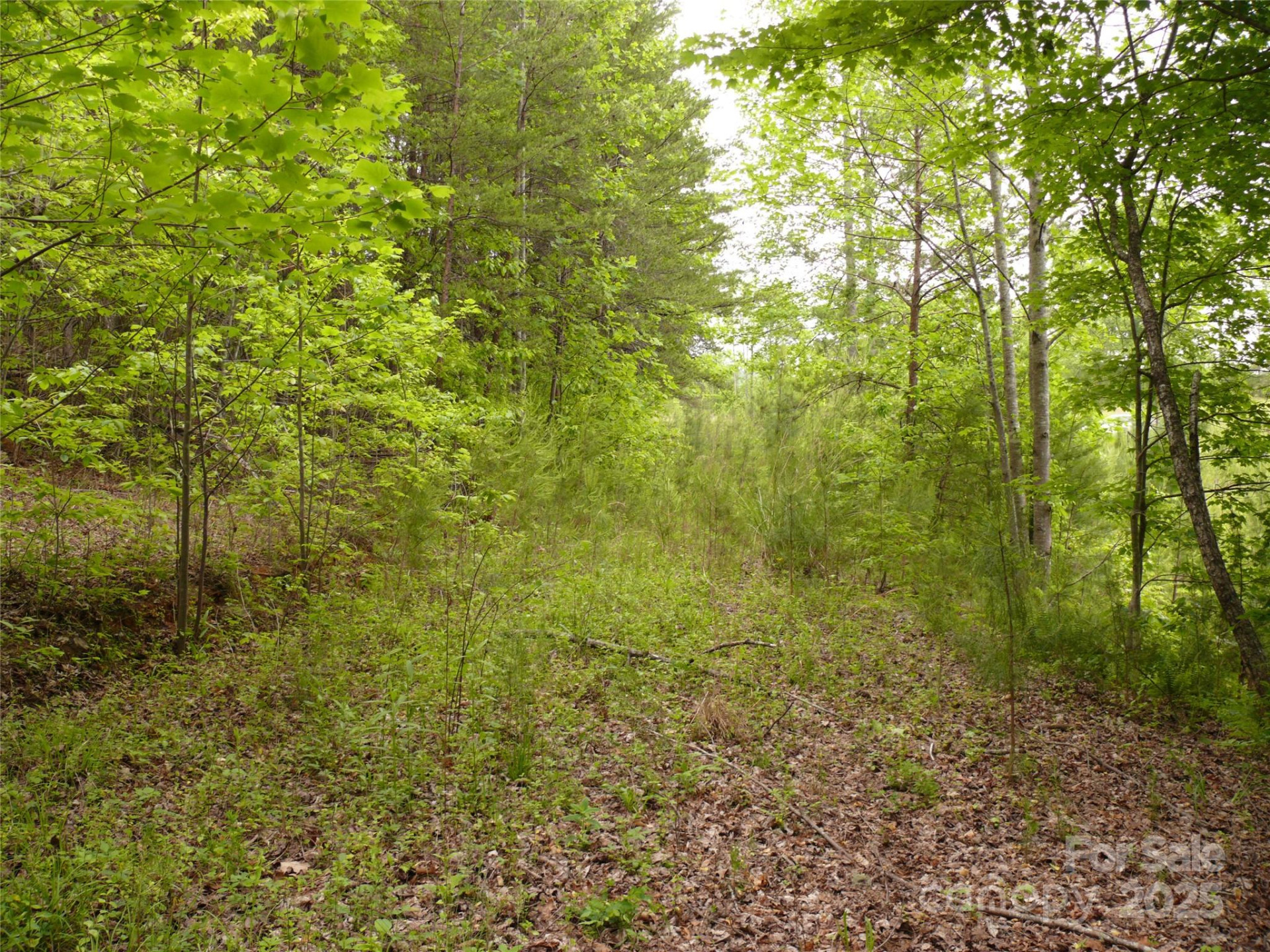 Lot 14 Vineyards Way - Photo 7