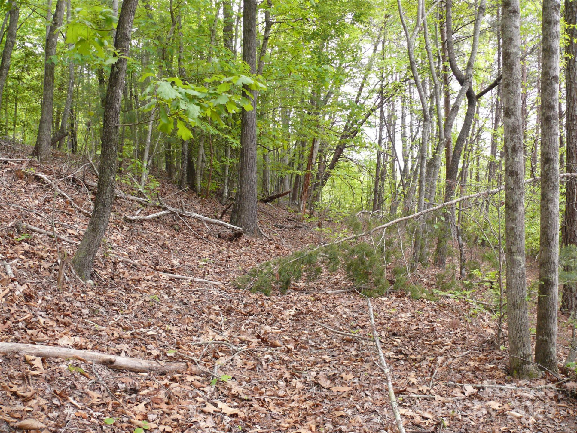 Lot 14 Vineyards Way - Photo 8