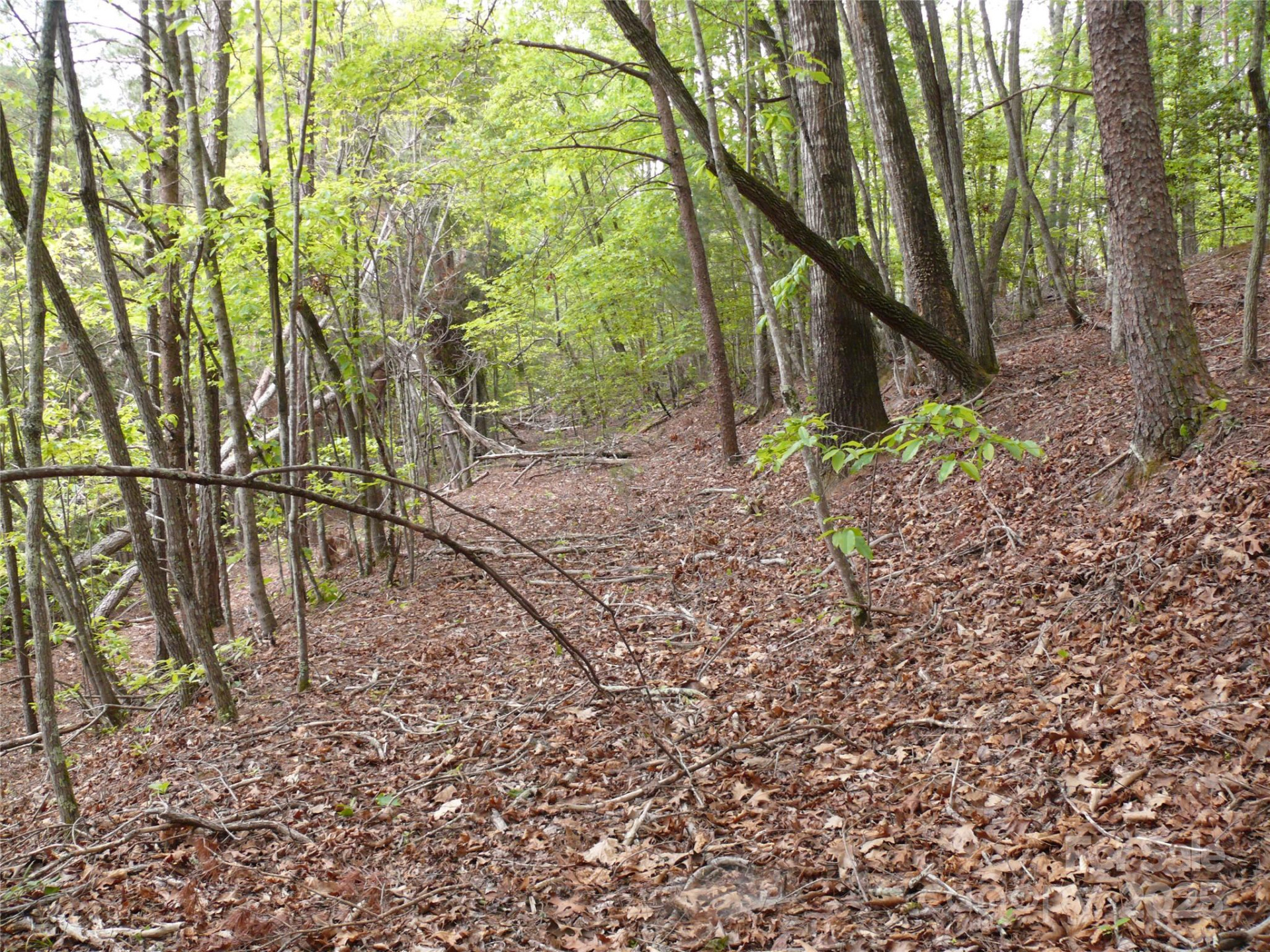 Lot 14 Vineyards Way - Photo 9