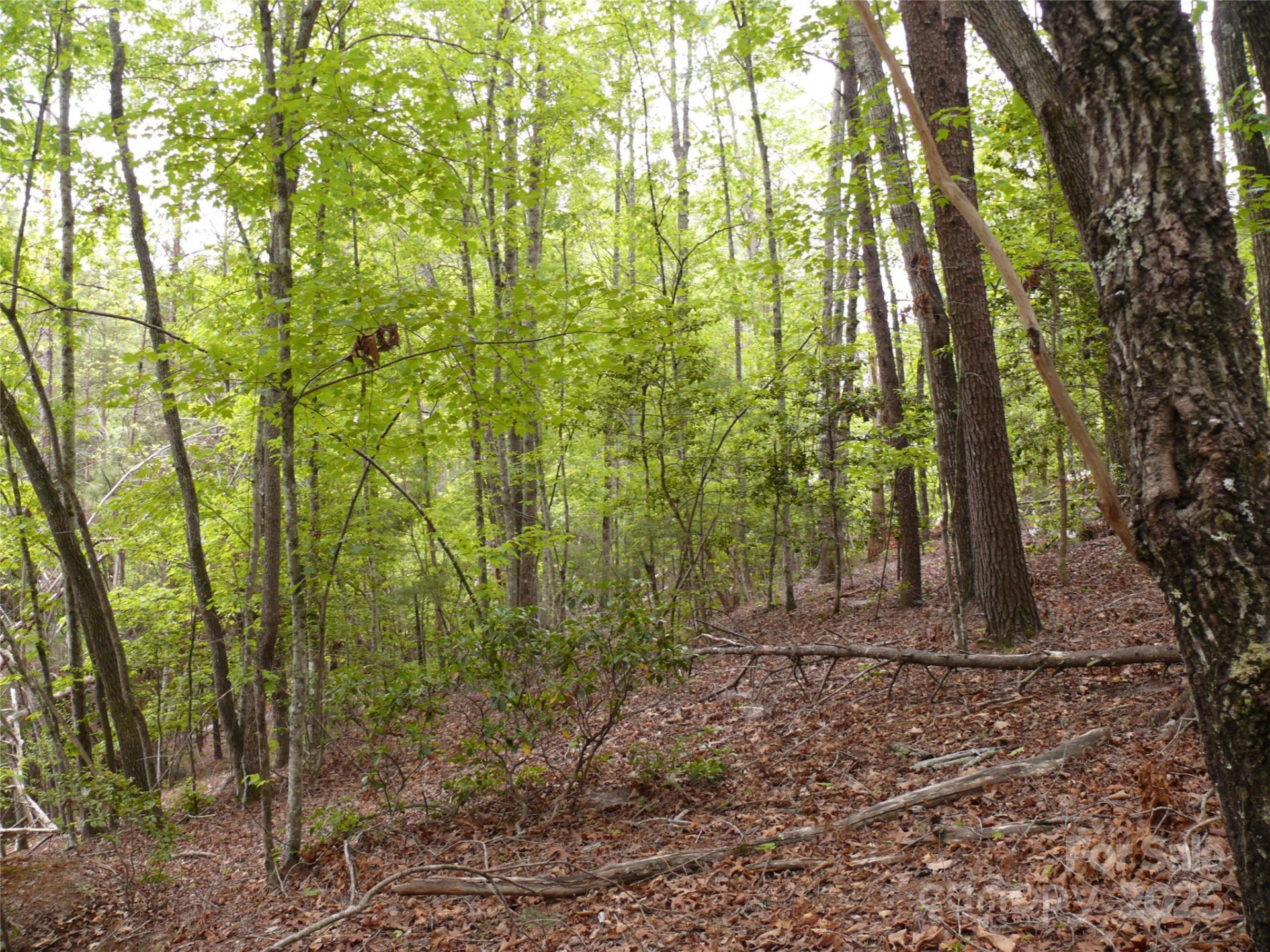 Lot 14 Vineyards Way - Photo 10