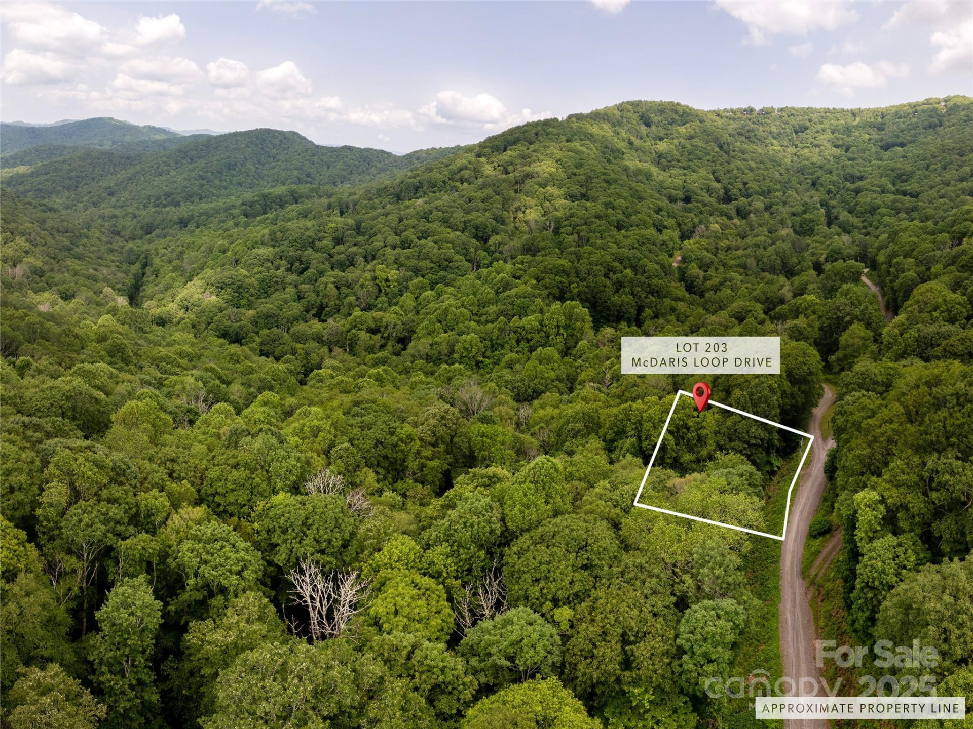 000 McDaris Loop Drive #203 - Photo 2