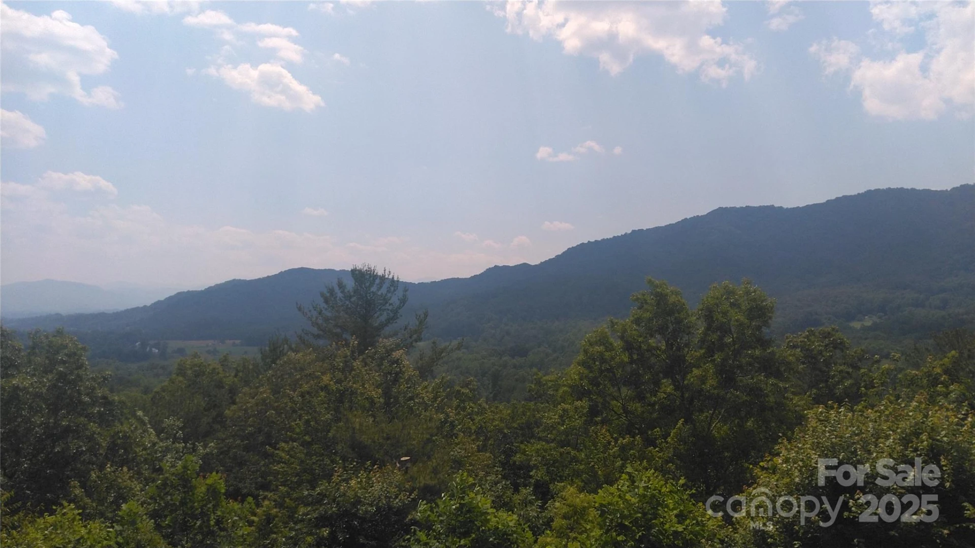 Lot 17 Deer Ridge Trail - Photo 2