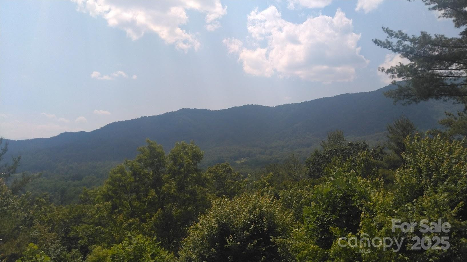 Lot 17 Deer Ridge Trail - Photo 5