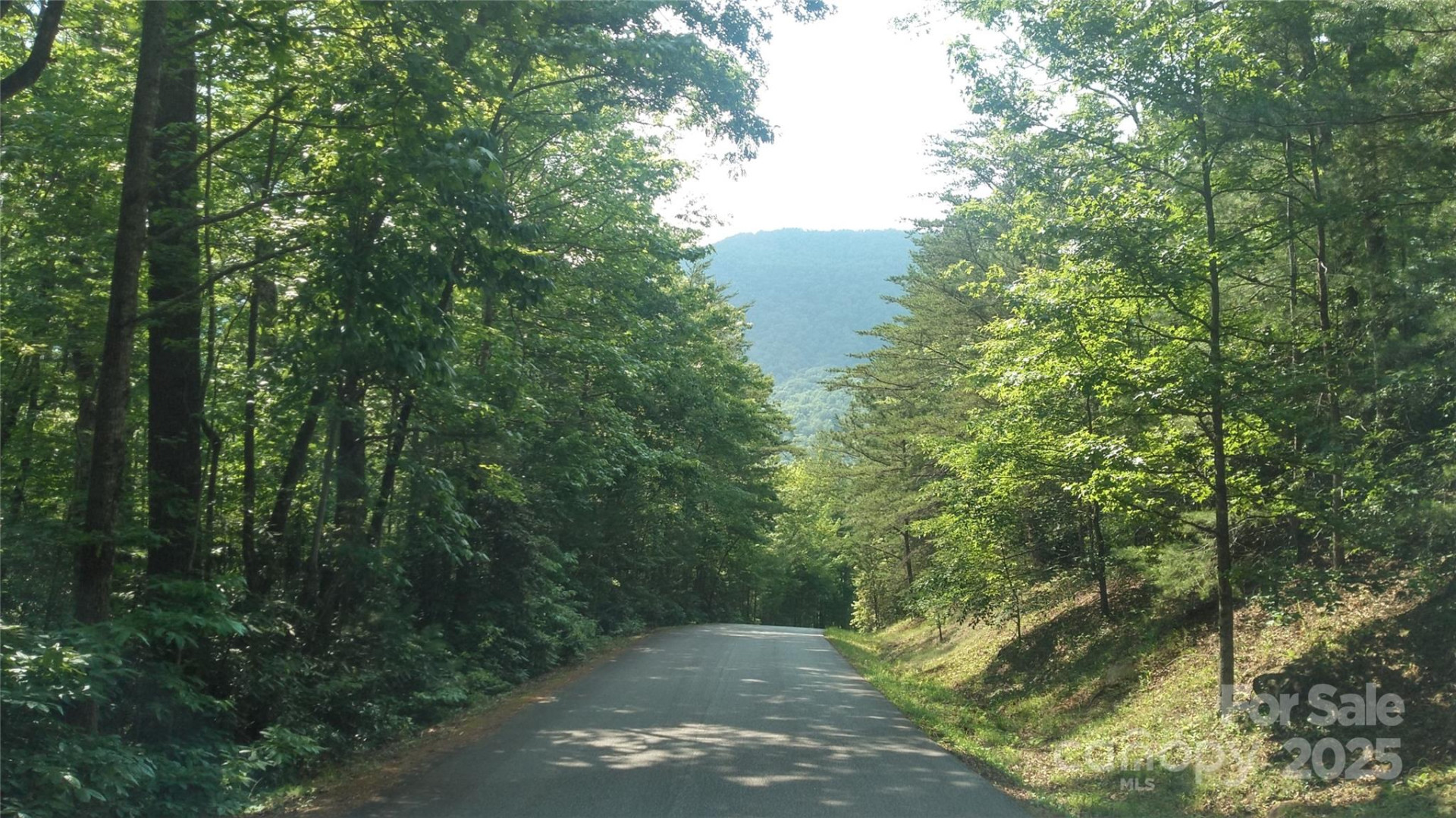 Lot 17 Deer Ridge Trail - Photo 6