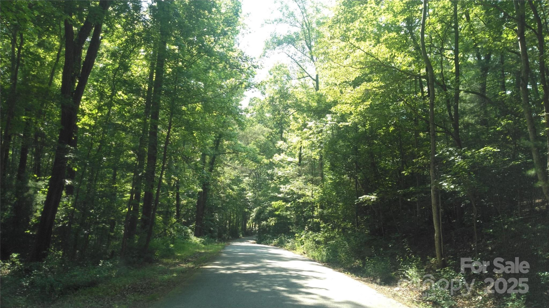 Lot 17 Deer Ridge Trail - Photo 8