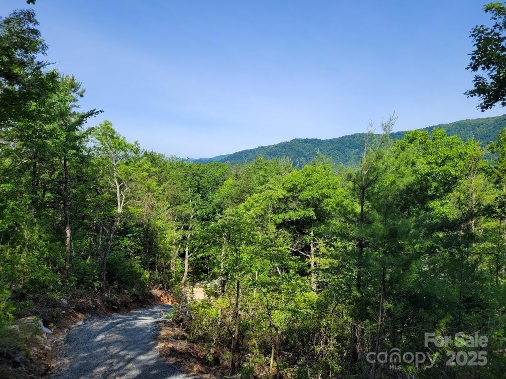 Lot 12/13B Quail Drive - Photo 2