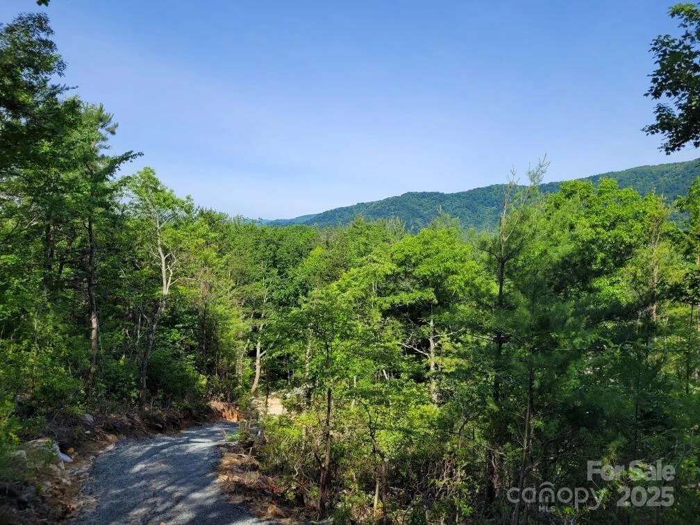Lot 12/13B Quail Drive - Photo 2
