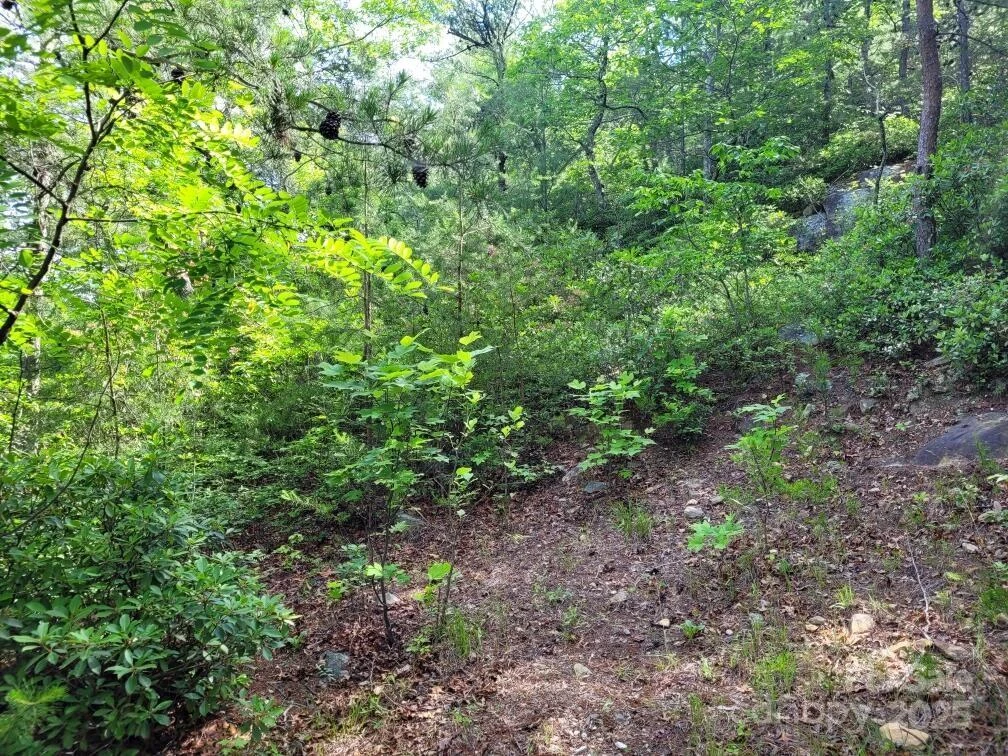 Lot 12/13B Quail Drive - Photo 12
