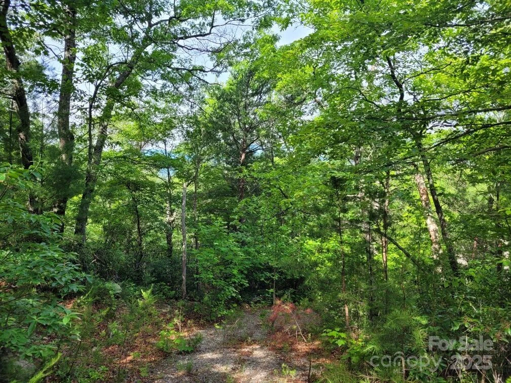 Lot 12/13B Quail Drive - Photo 13