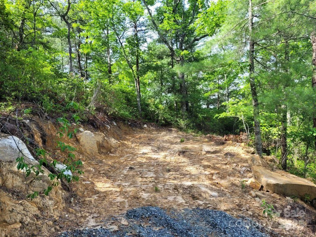 Lot 12/13B Quail Drive - Photo 14