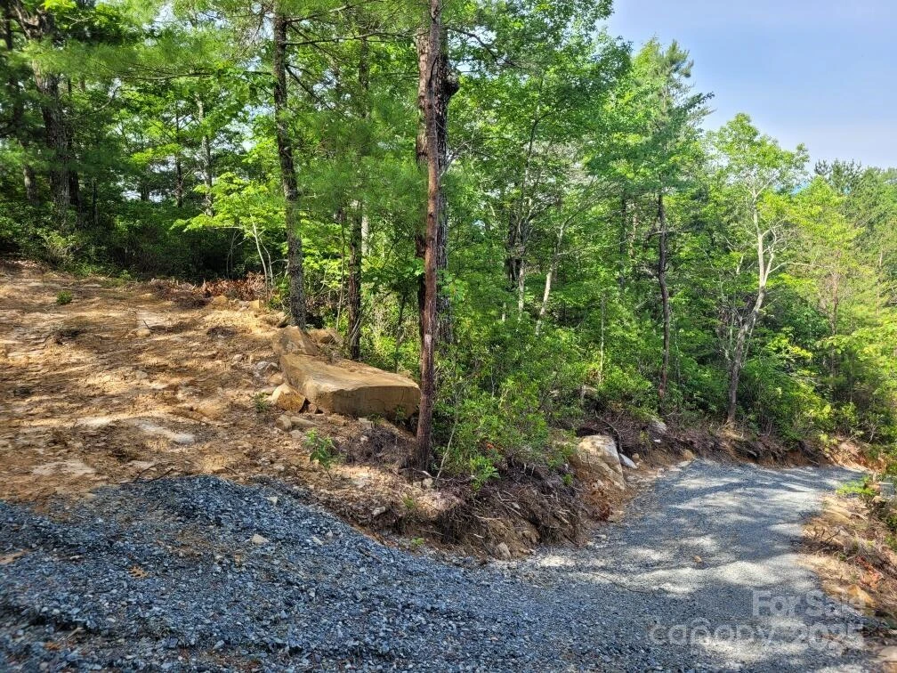 Lot 12/13B Quail Drive - Photo 15