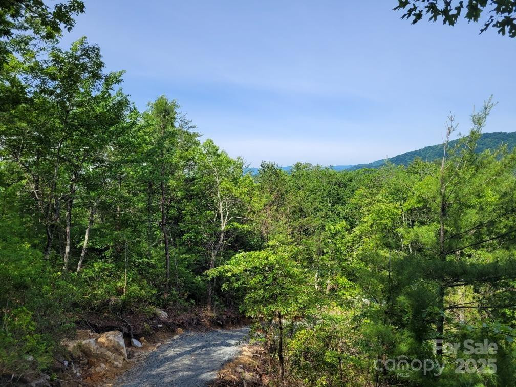 Lot 12/13B Quail Drive - Photo 4
