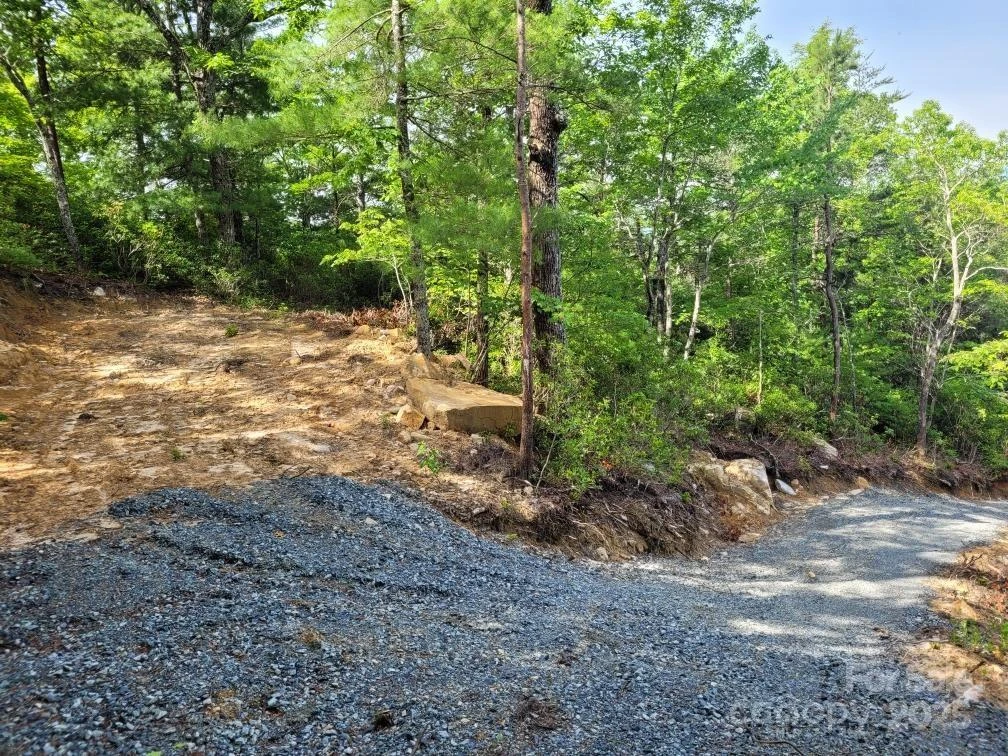 Lot 12/13B Quail Drive - Photo 5