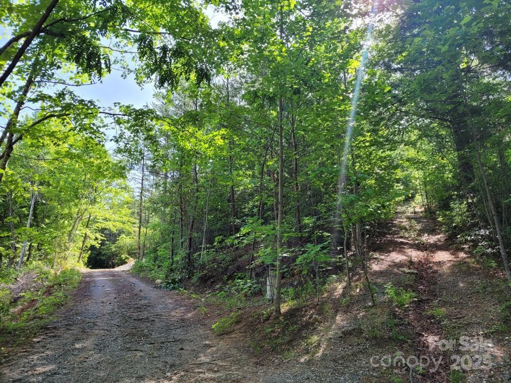 Lot 12/13B Quail Drive - Photo 8